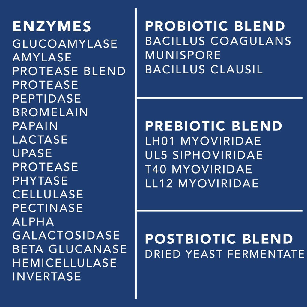 4-in-1 Prebiotic Probiotic & Postbiotic for Women & Men, Complete Gut & Digestive Support Supplement, Pre Post Probiotics & Digestive Enzymes 60 Capsules PLANT.O NUTRITION Au supplements