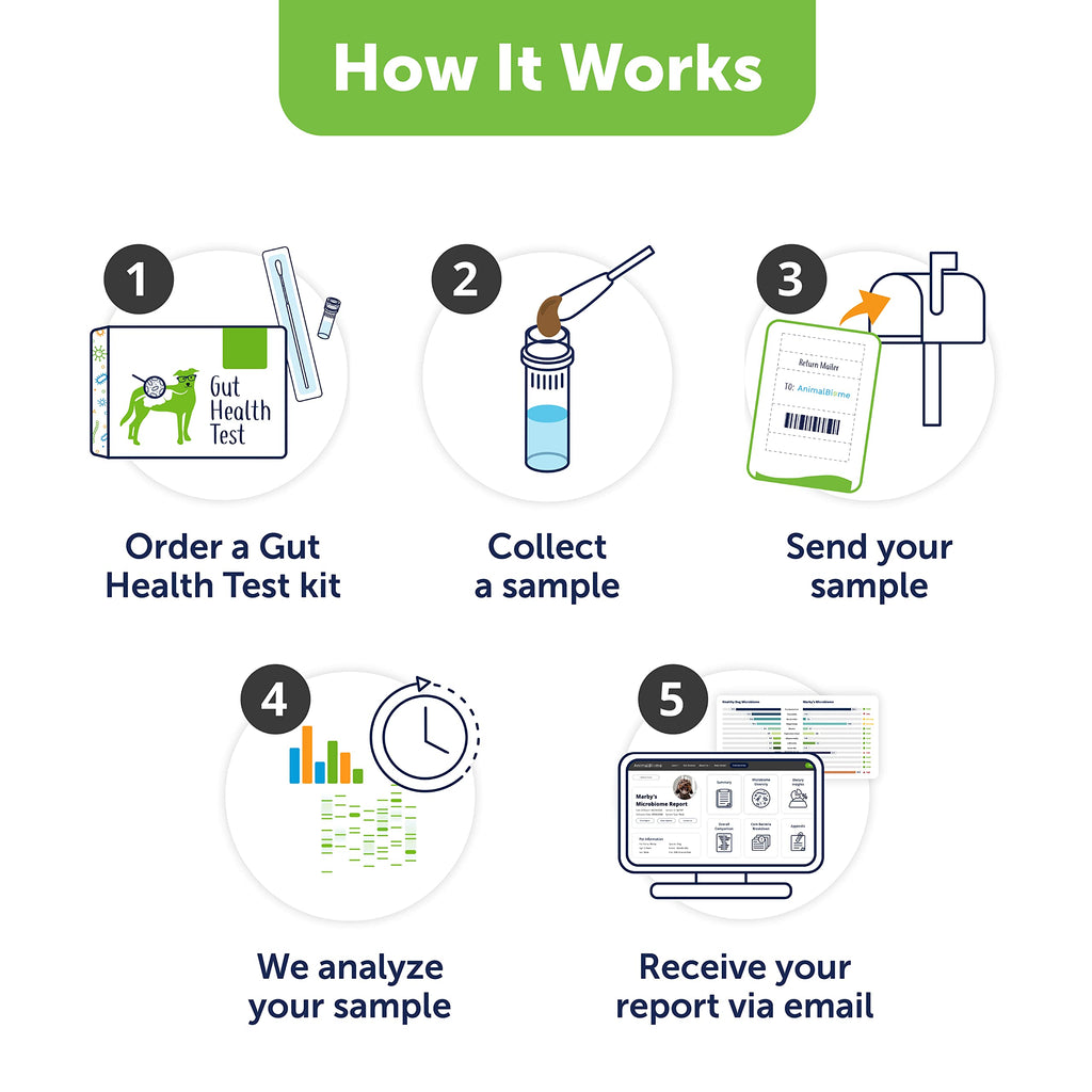 AnimalBiome Dog Gut Health Test – DoggyBiome At Home Stool Testing Kit, Canine Fecal Analysis for Digestive Issues, Diarrhea & Allergy Insights w/Personalized Report & Custom Plan (Dogs in US) AnimalBiome Au supplements