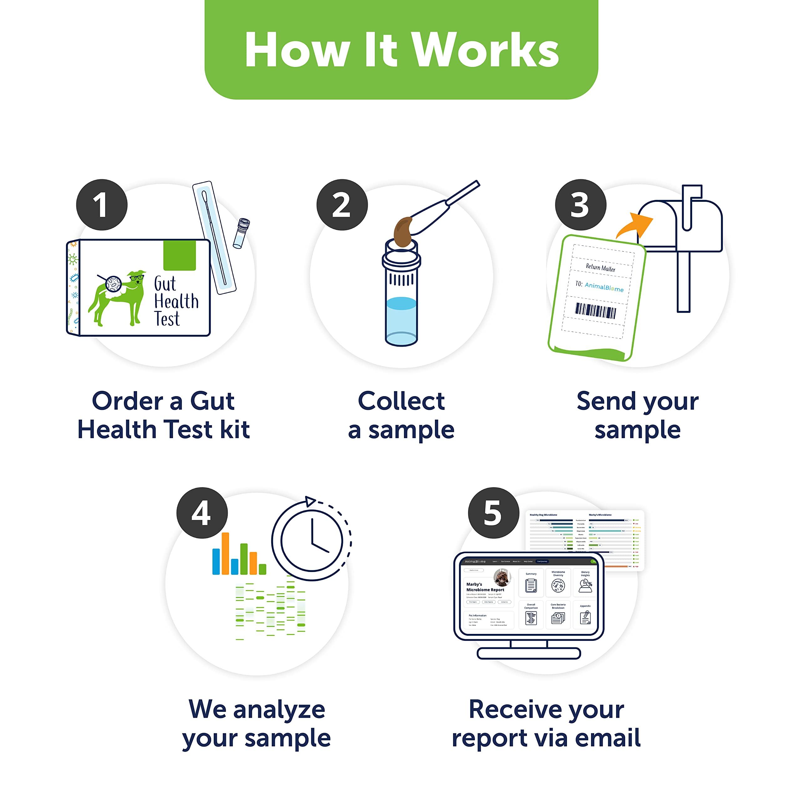 AnimalBiome Dog Gut Health Test – DoggyBiome At Home Stool Testing Kit, Canine Fecal Analysis for Digestive Issues, Diarrhea & Allergy Insights w/Personalized Report & Custom Plan (Dogs in US) AnimalBiome Au supplements