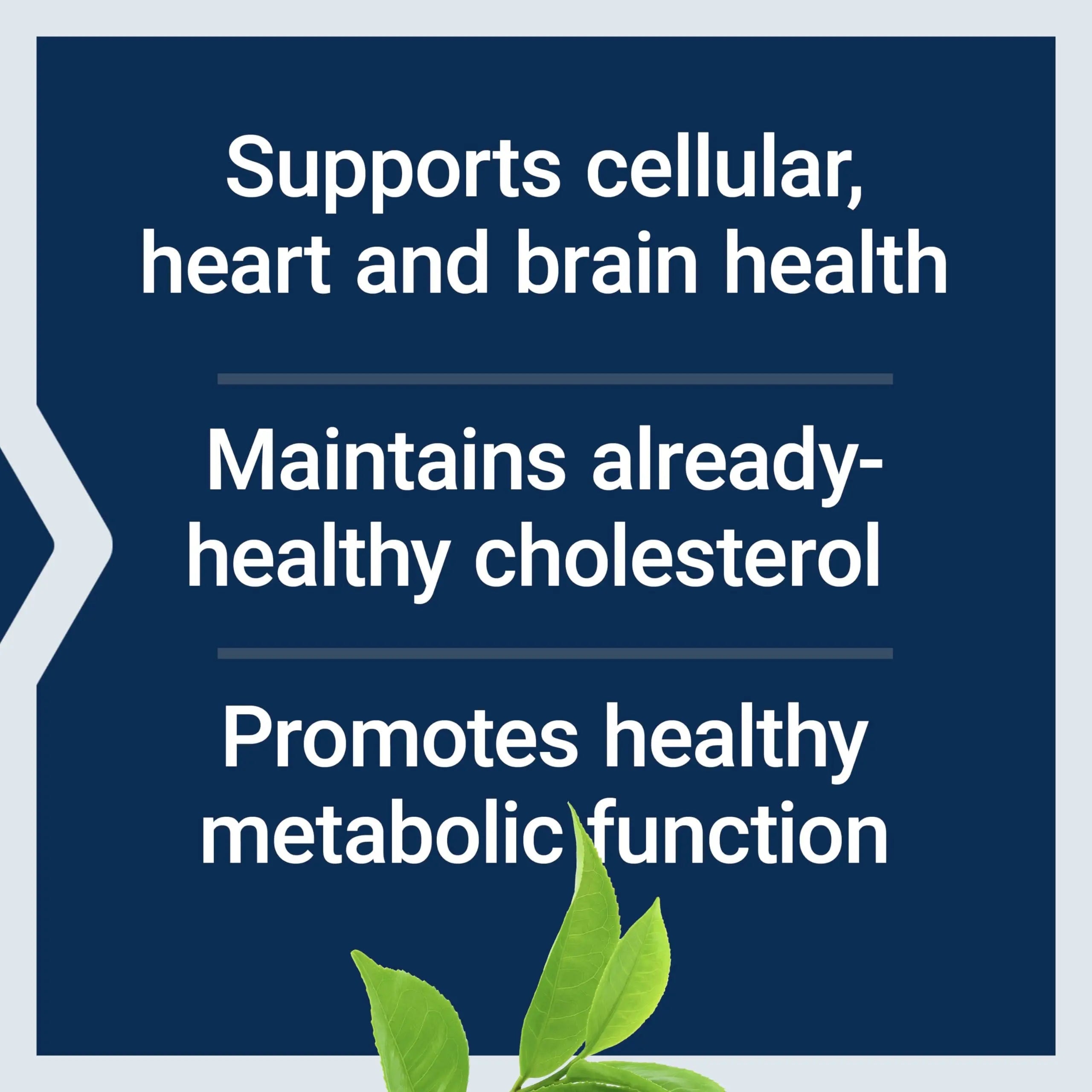Life Extension Decaffeinated Mega Green Tea Extract – Polyphenol-Rich, Cell Health Life Extension Au supplements