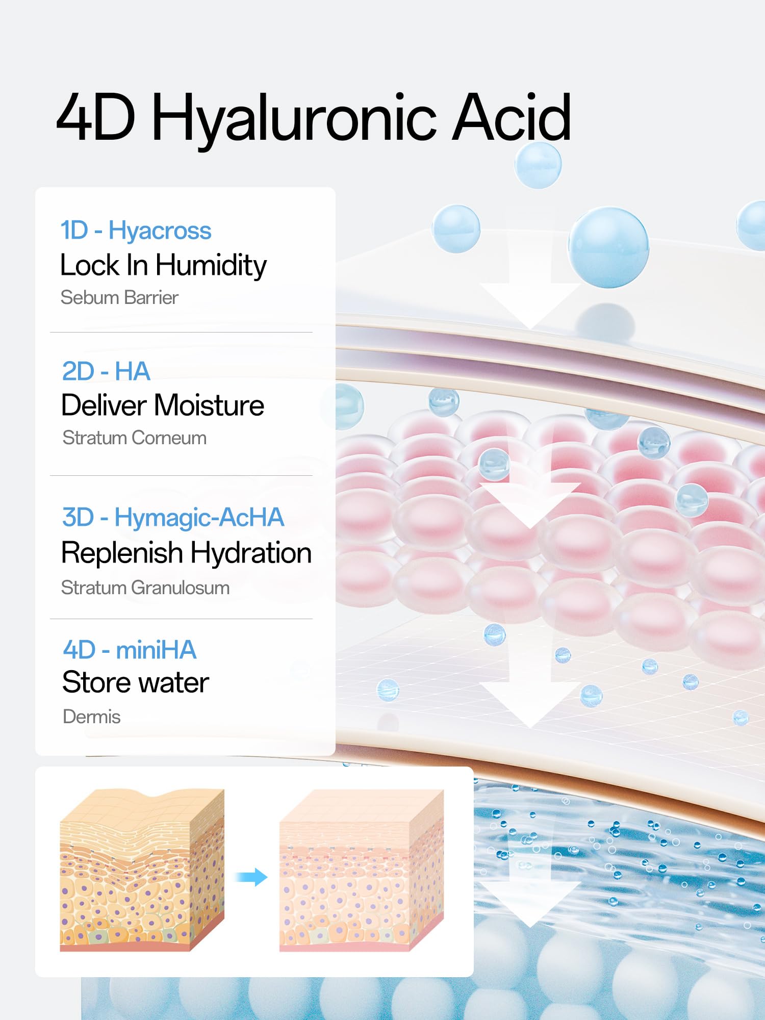 WNP Hyaluronic Acid Serum 3% for Face with 4D Multi-Layer Hydration | Ultra Hydrating Anti-Aging Serum | Moisturizer for Dry & Sensitive Skin