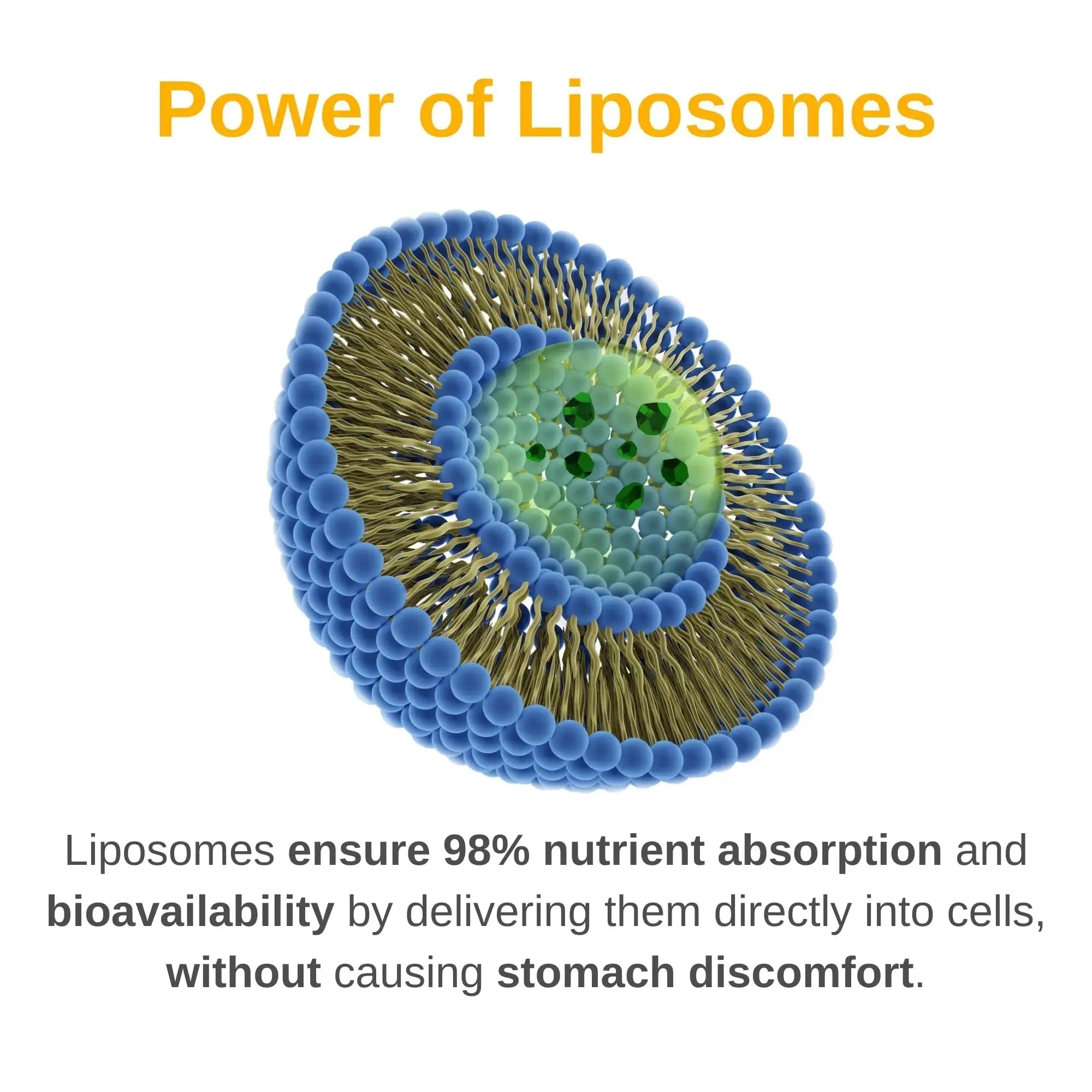 Vitaminally Liposomal Men's Liquid Multivitamin Drops | Non-GMO | Sugar Free | Gluten Free | 30 Day Supply | Vitaminally Au supplements