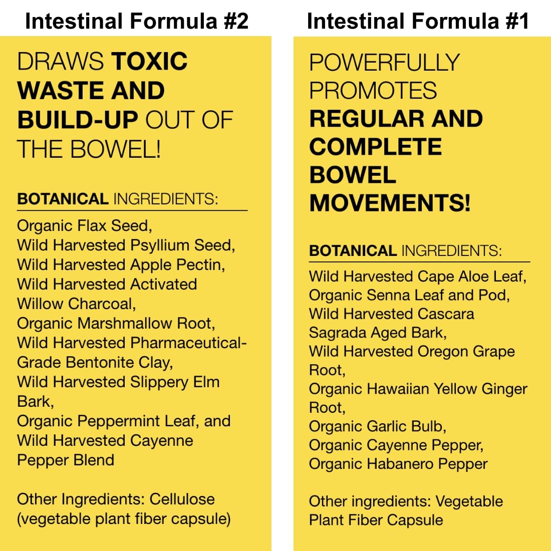 Dr. Schulze's Intestinal Formula #2 (8 Ounces) and Intestinal Formula #1 Capsules (90 Capsules) - Organic Herbal Supplements Dr. Schulze's Au supplements