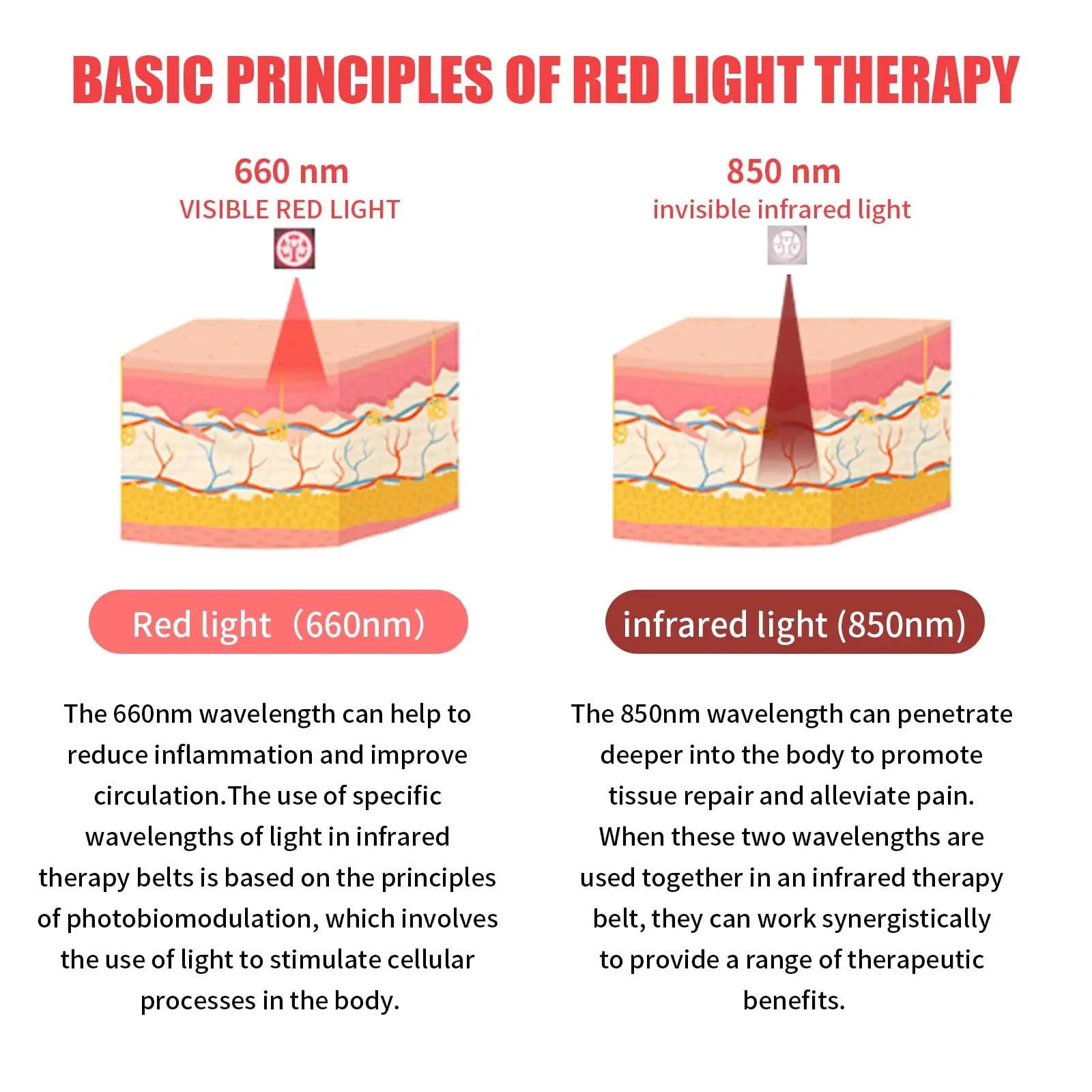 Red Light Infrared Therapy Belt: Pain Relief Device LED Red Light Therapy Lamp Near Body Large Pad Wrap ADVARAYS Au supplements