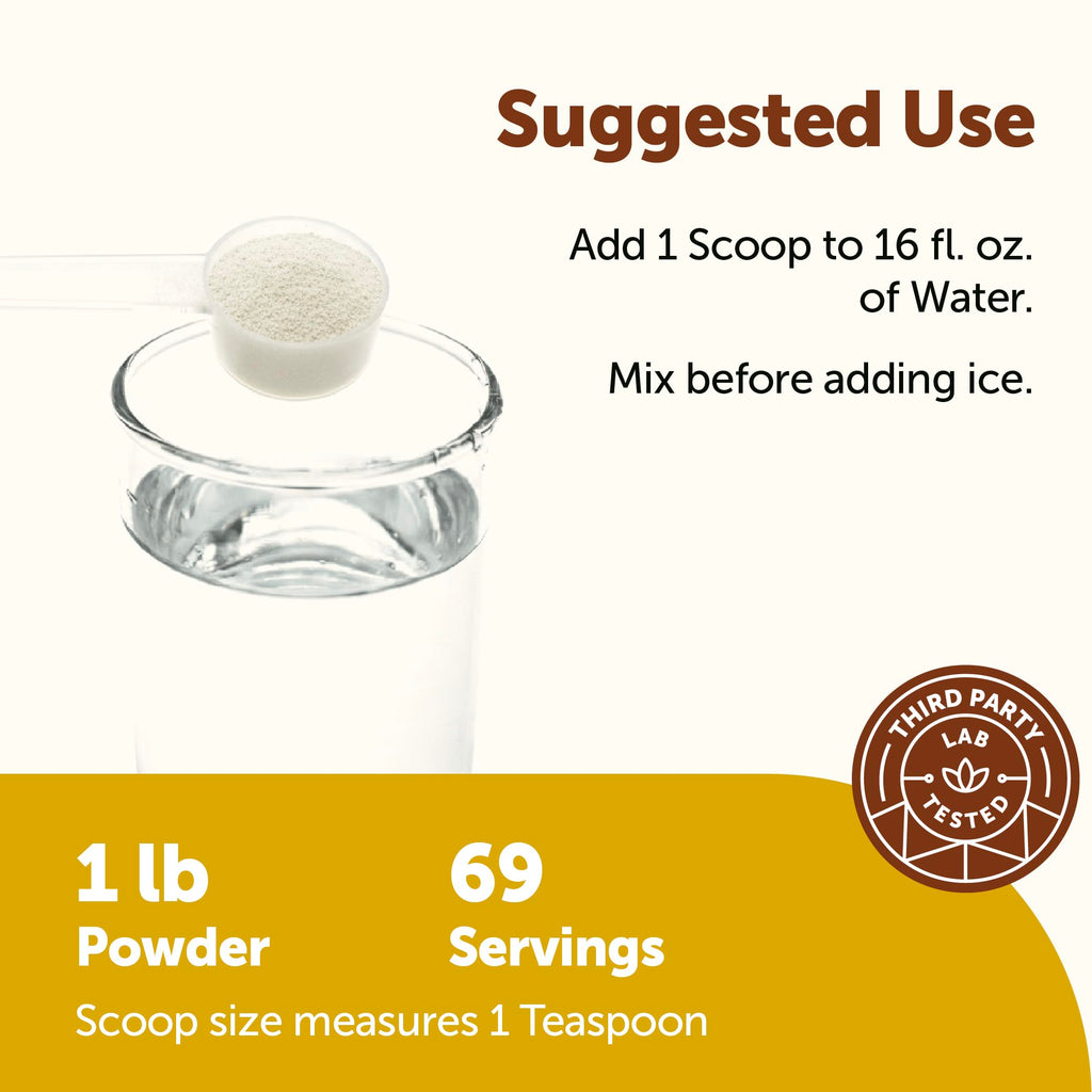 Micro Ingredients Hydration Electrolyte Powder, 1 lb (69 Servings) | Lemon Raspberry Flavor | High Potassium (1,000mg) + Coconut Water & Real Lemon Juice | No Sugar, Keto Friendly | Non-GMO