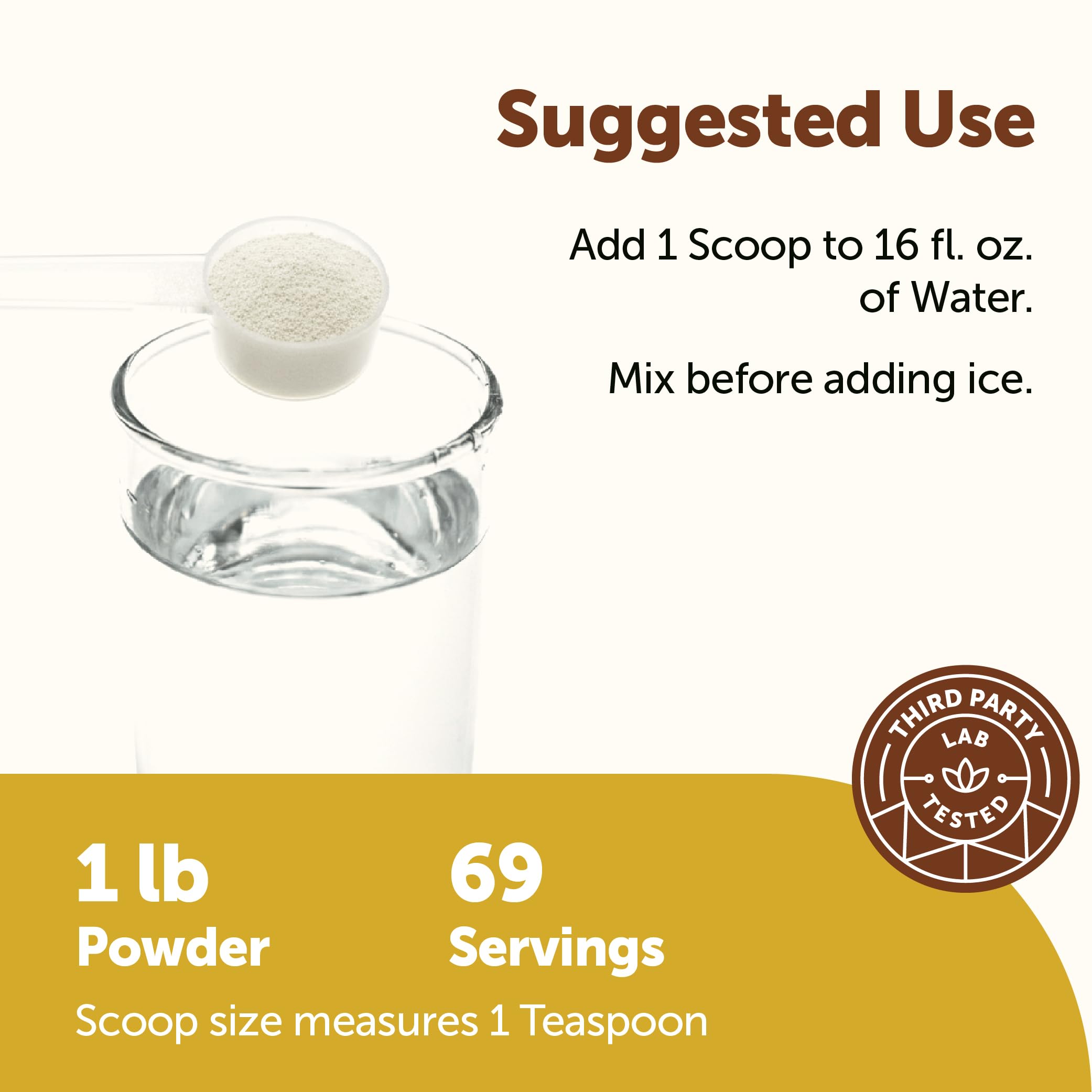 Micro Ingredients Hydration Electrolyte Powder, 1 lb (69 Servings) | Lemon Raspberry Flavor | High Potassium (1,000mg) + Coconut Water & Real Lemon Juice | No Sugar, Keto Friendly | Non-GMO