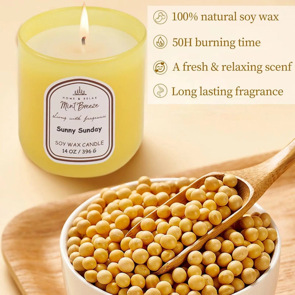HOME & RELAX 14oz Scented Soy Wax Candle,Big Candle, More Than 80 Hours Long Lasting Burning time HOME & RELAX Au supplements