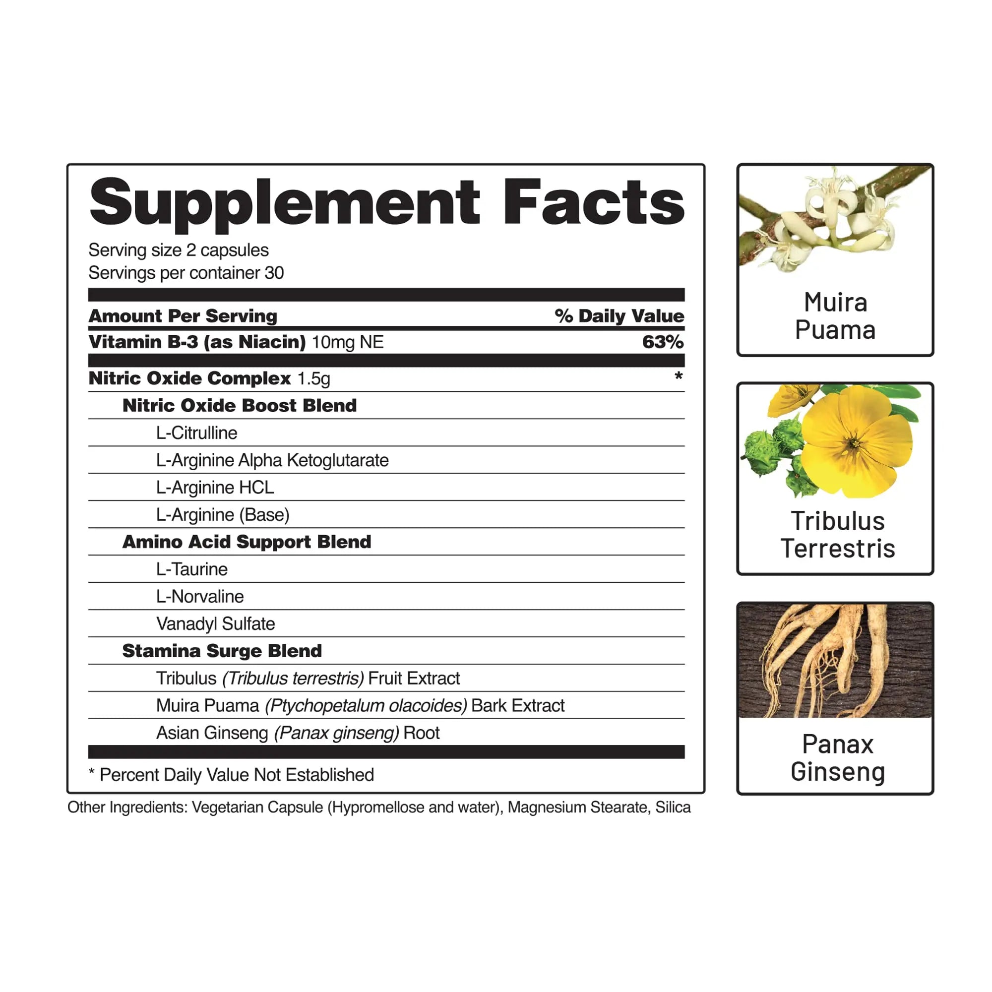 Snap Supplements Nitric Oxide Booster, Performance Formula for Stamina & Endurance Snap Supplements Au supplements