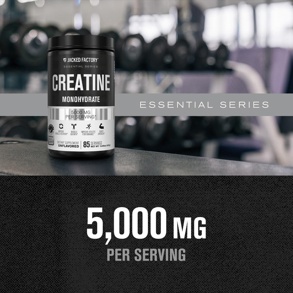 Jacked Factory Creatine Monohydrate Powder 425g - 5g Daily Creatine Supplement for Men and Women, Vegan-Friendly