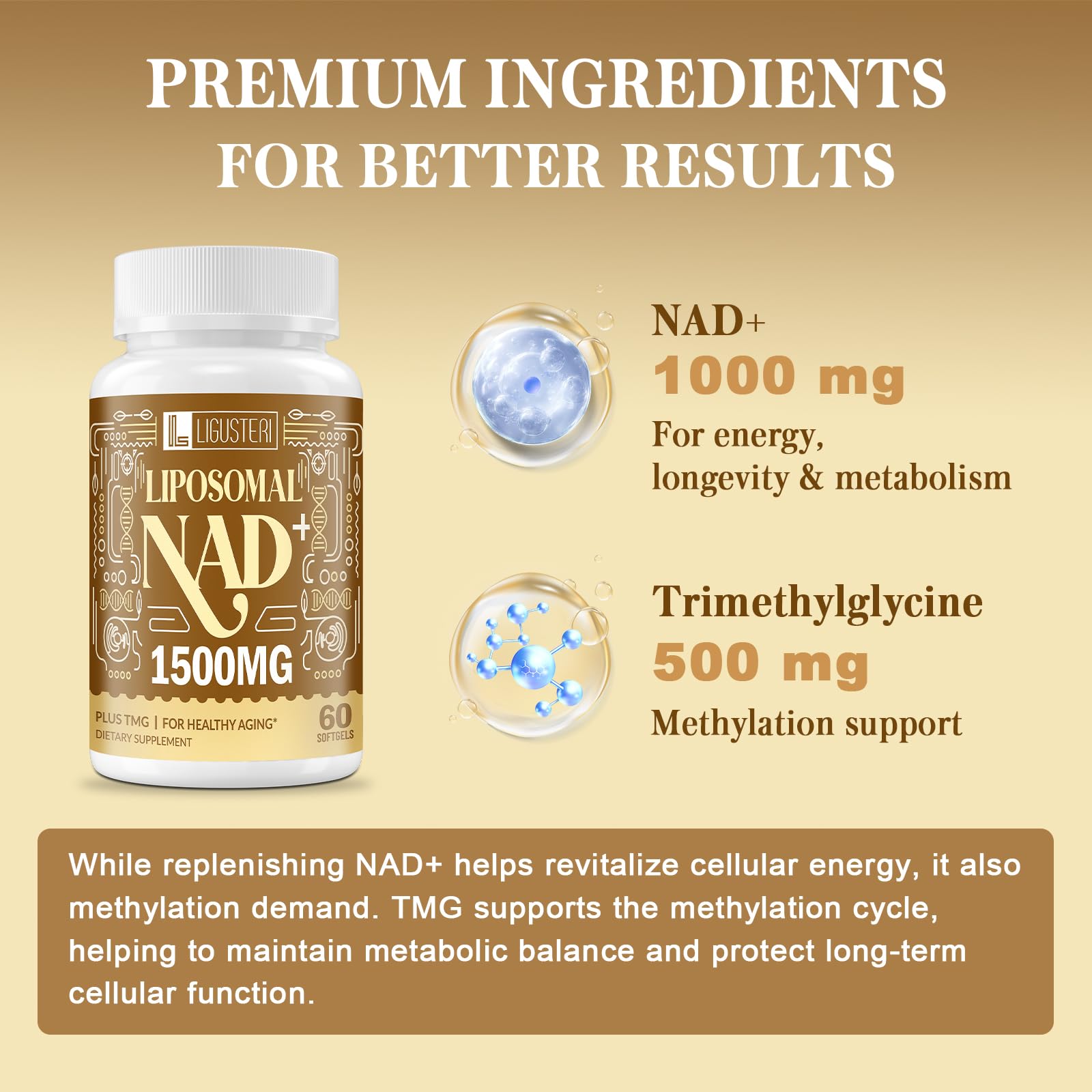 LIGUSTERI 1500 MG Liposomal NAD+, 98%+ Absorption, NAD+ Supplement for Women & Men with TMG, for Aging Defense, Cellular Energy, Heart & Brain Function, Longevity, 120 Softgels LIGUSTERI Au supplements