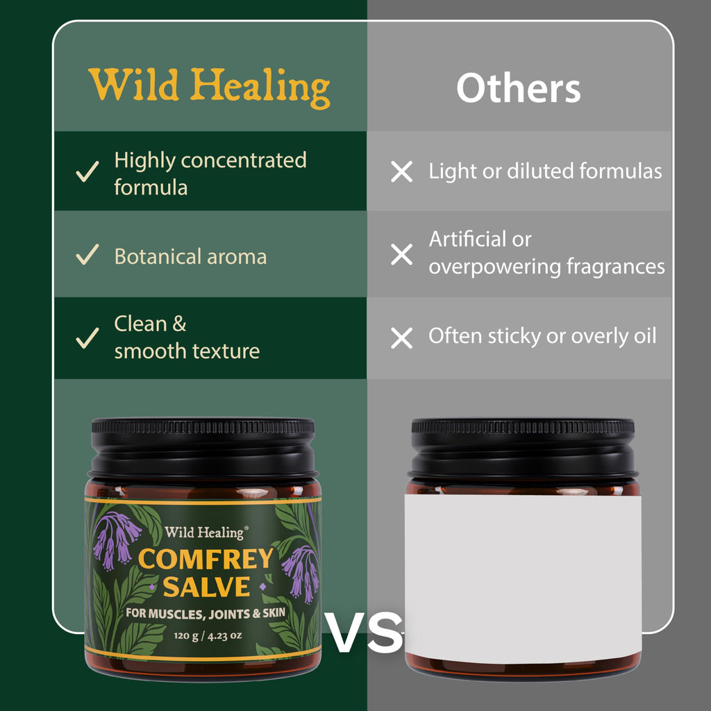 Wild Healing Comfrey Salve – Concentrated Herbal Balm with Arnica, Magnesium & MSM – Soothing Botanical Cream for Joints, Muscles & Dry Skin – 4.23 oz Wild Healing Au supplements