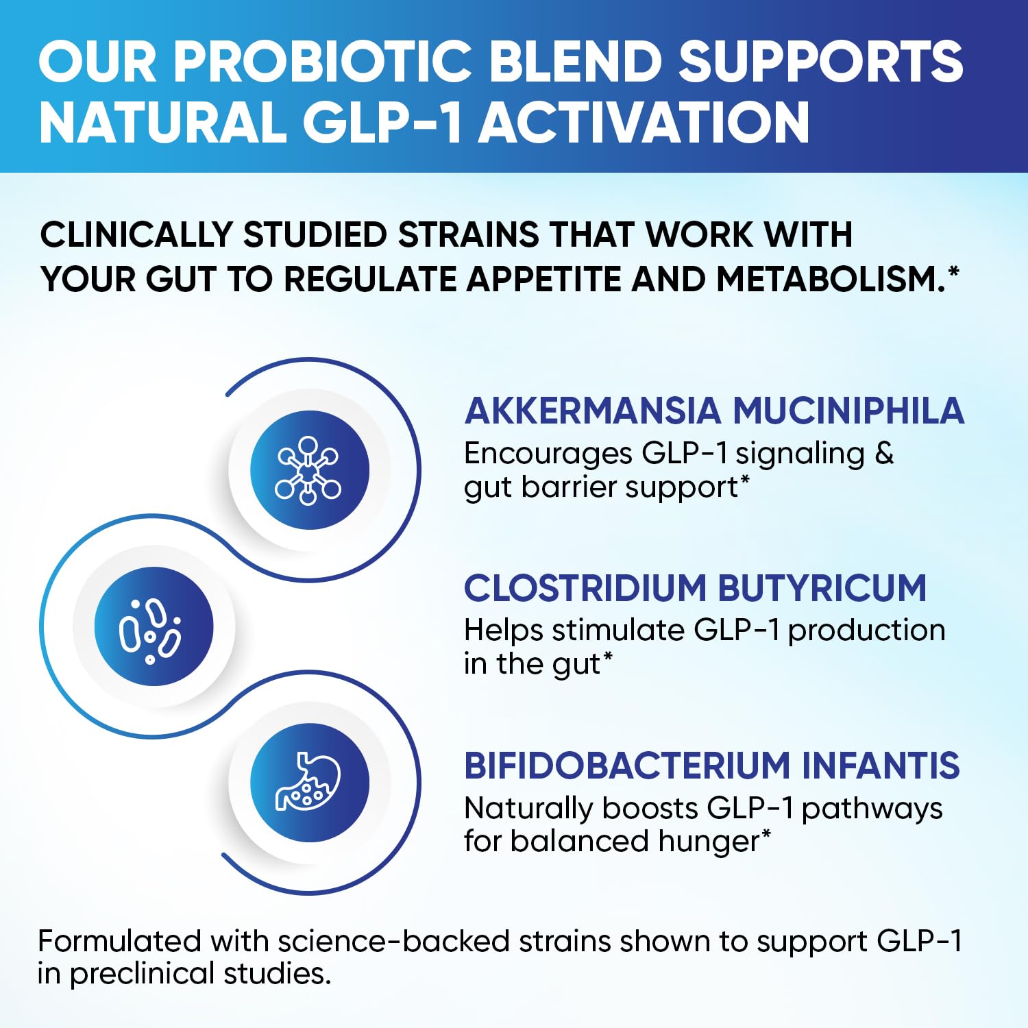 GLP-1 XLR8 Supplement for Weight Loss, Digestion, Constipation, Bloating Relief with Akkermansia 2.6 Billion AFU Live Prebiotic Probiotic Postbiotic Gut Health + Berberine for Women Men 360 Capsules Snappy Scripts Au supplements