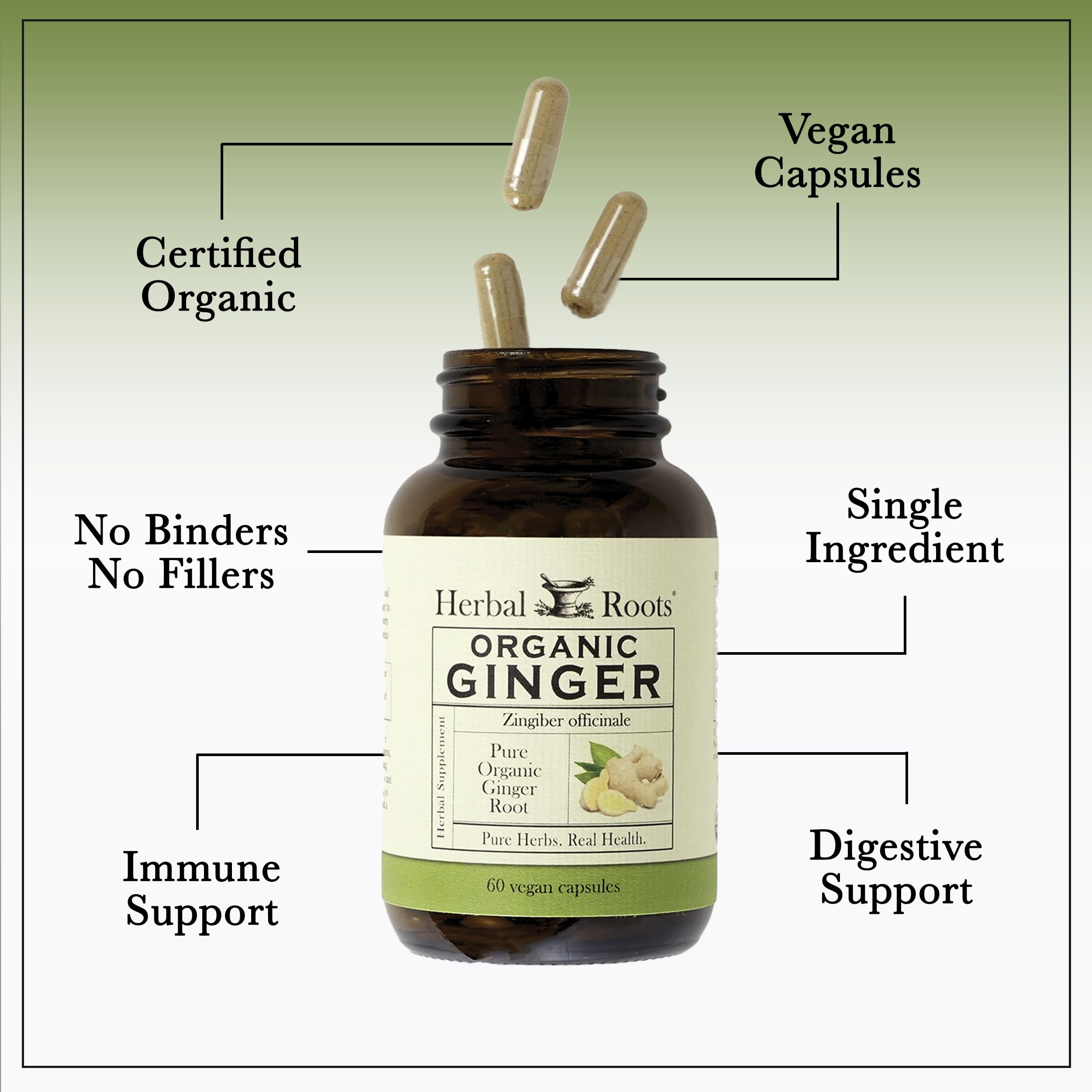 Herbal Roots Ginger Supplement | Organic Ginger Root Capsules | 1,200 mg of Pure Ginger Powder per Serving | 60 Vegan Capsules