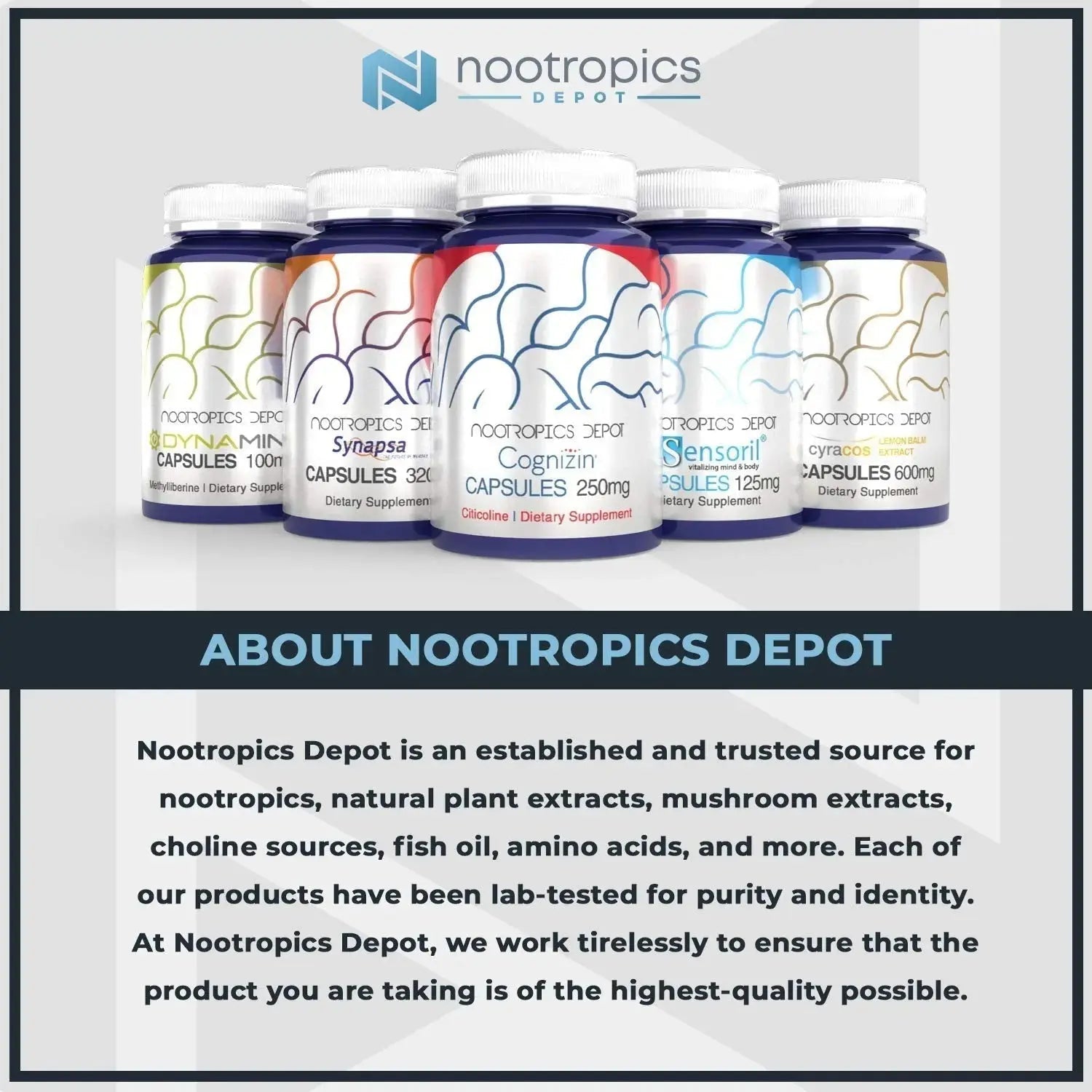 Nootropics Depot Uridine Monophosphate Capsules | Disodium Salt (60 Count) Cognitive Enhancer* | Nootropic | Choline Precursor Nootropics Depot Au supplements