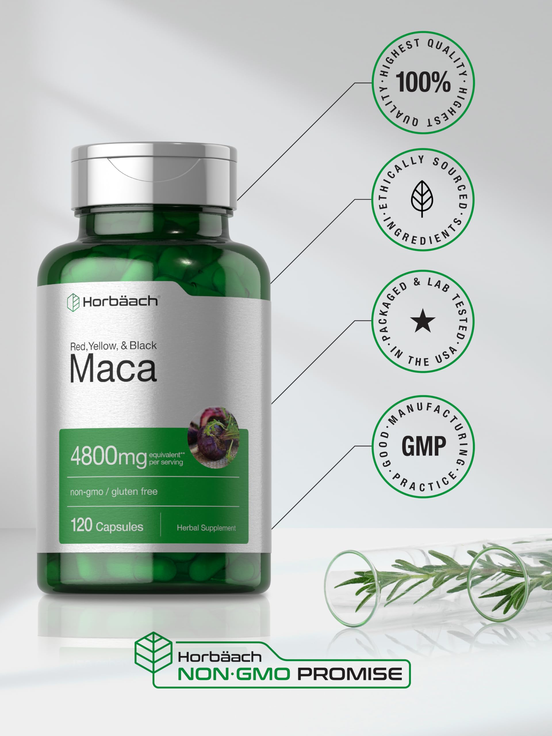Horbäach Maca Root Capsules for Men and Women | 120 Pills | High Potency Extract | Non-GMO and Gluten Free Formula