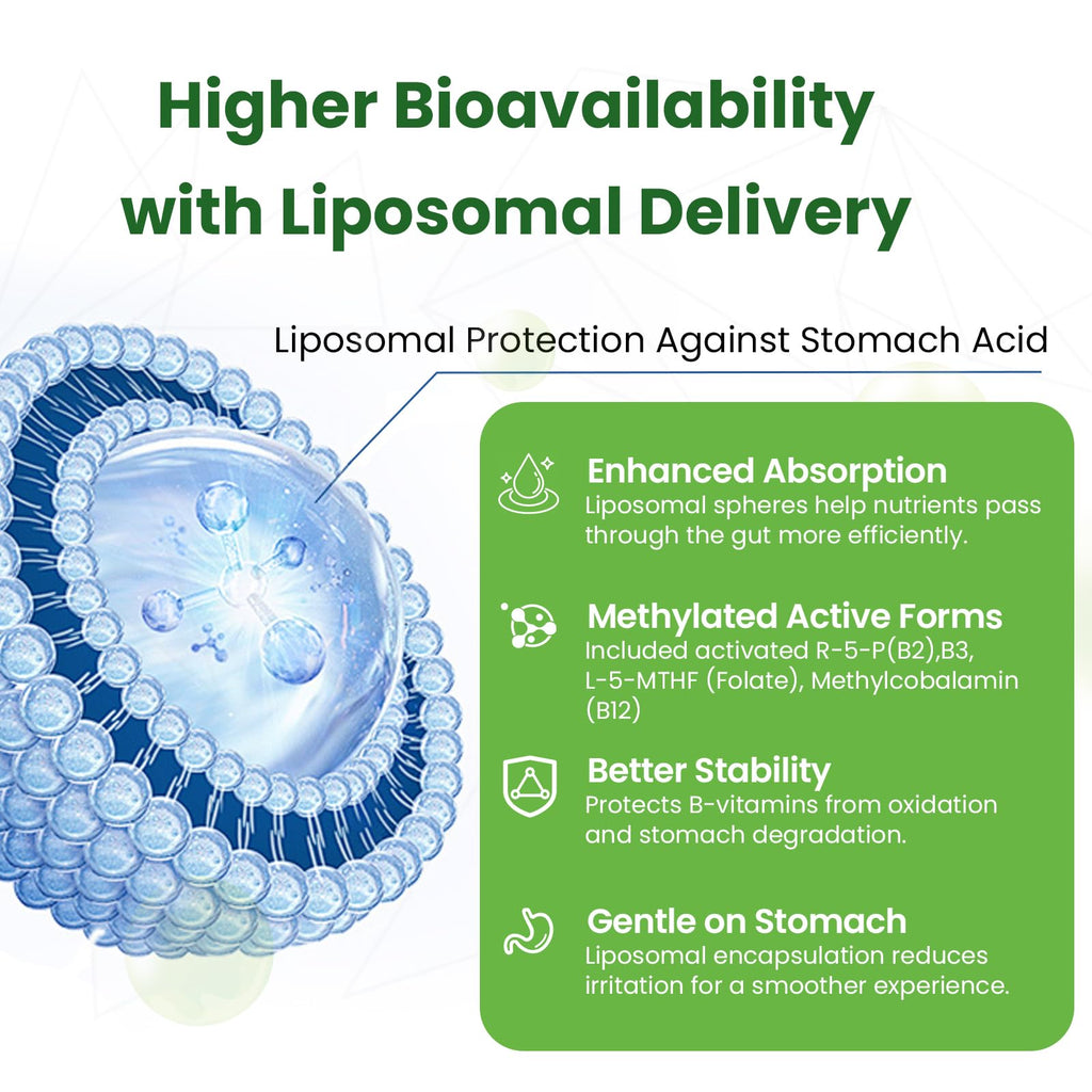 Liposomal B Complex for High Absorption Methylated B12,L-Methyfolate(5-MTHF ),Full Active B Vitamins with Choline Inositol-Energy, Metabolism,Brain & Heart Support