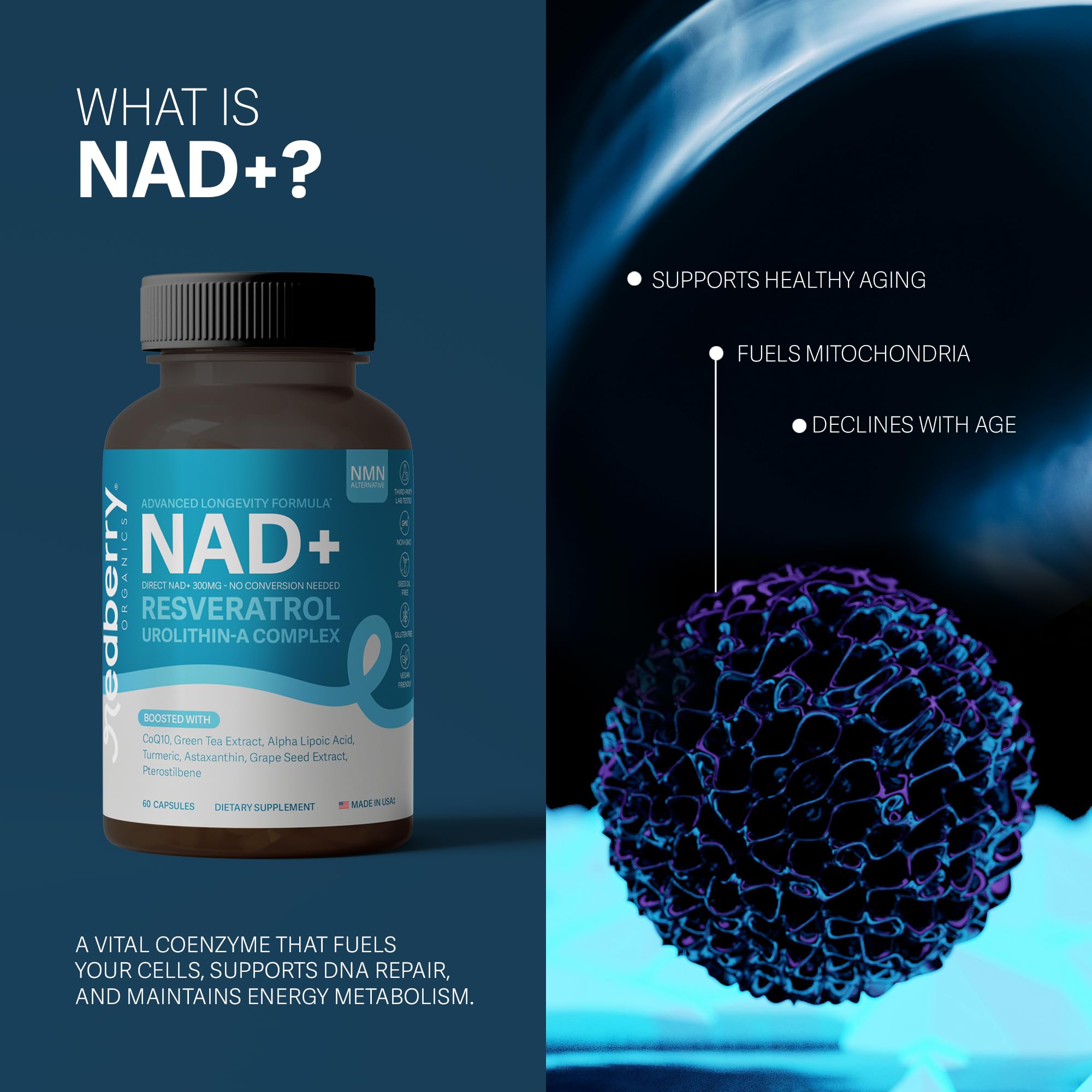 NAD Supplement with Direct NAD+ 300mg (NAD Plus) | Advanced Longevity Complex with Urolithin A & Resveratrol | NMN Alternative | 60 Capsules | Non-GMO, Gluten Free | Made in USA Redberry Organics Au supplements