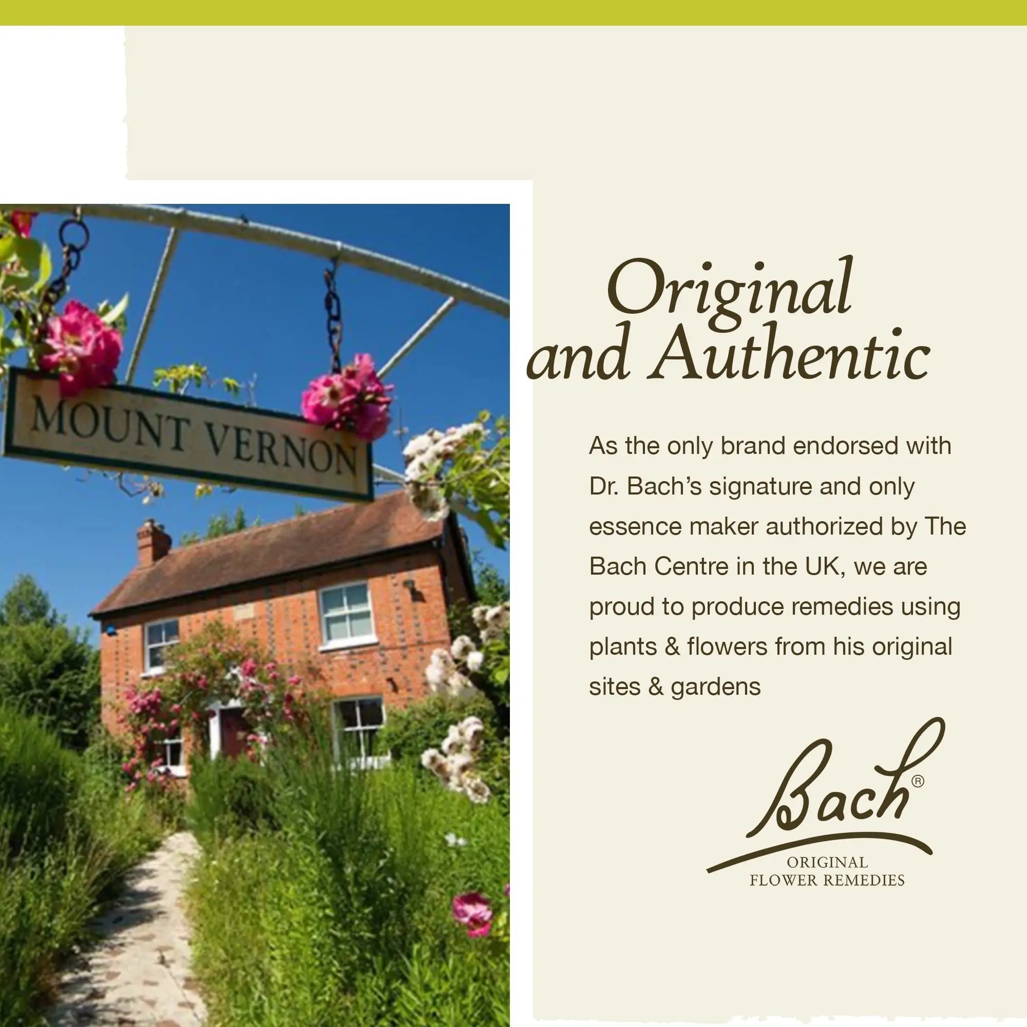 Bach Original Flower Remedies, Honeysuckle for Embracing The Now (Non-Alcohol Formula) Bach Au supplements