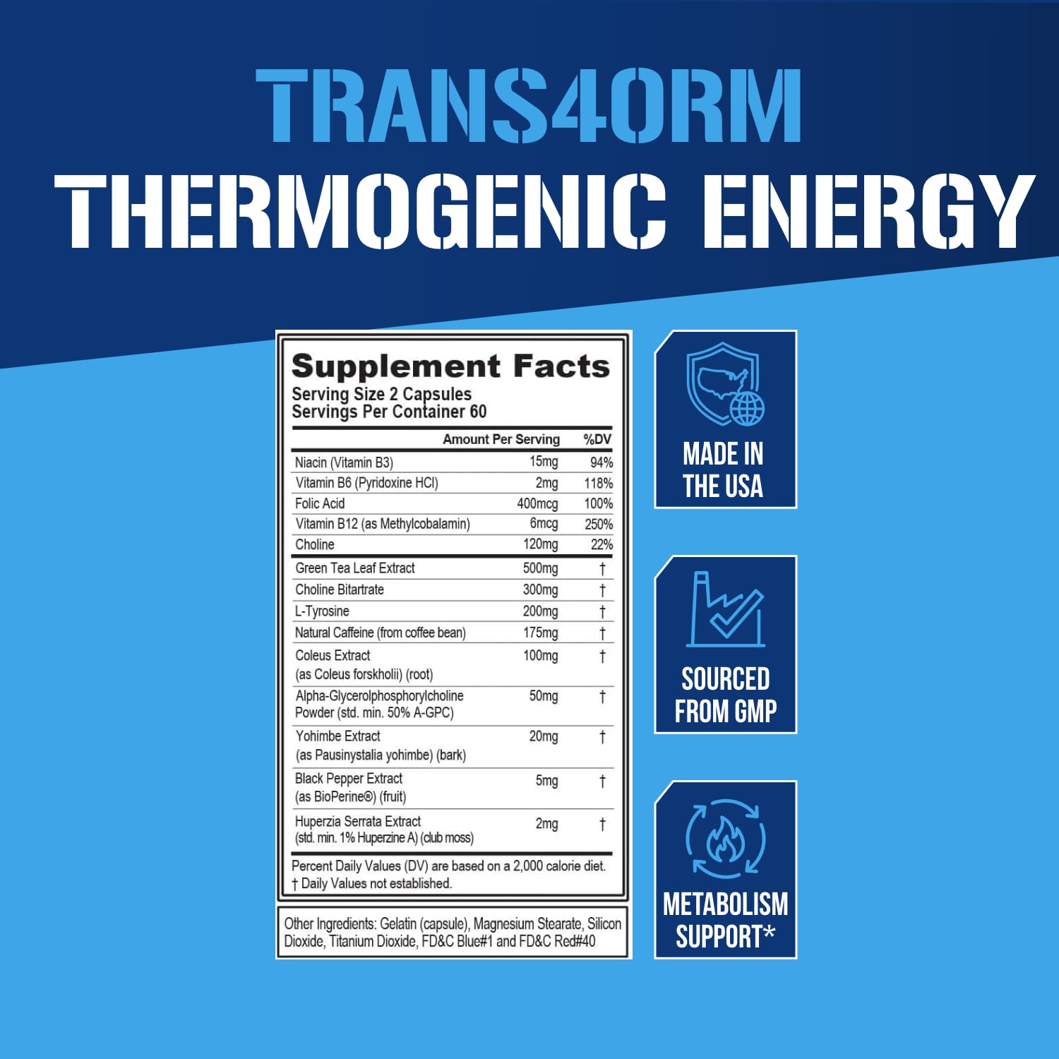 EVL Thermogenic Fat Burner Support - Fast Acting Weight Loss Energy and Appetite Support - Trans4orm Green Tea Supplement