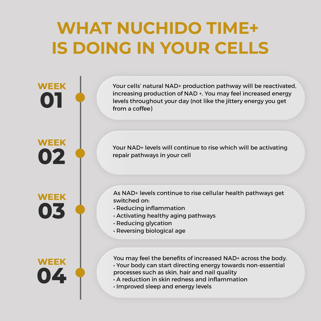 Nuchido Time+ NAD Supplement for Men & Women - Advanced Formula for Healthy Aging, Energy, Focus, Cellular Health & Longevity - Nicotinamide, Alpha Lipoic Acid, Quercetin - 90 Capsules Nuchido Time+ Au supplements