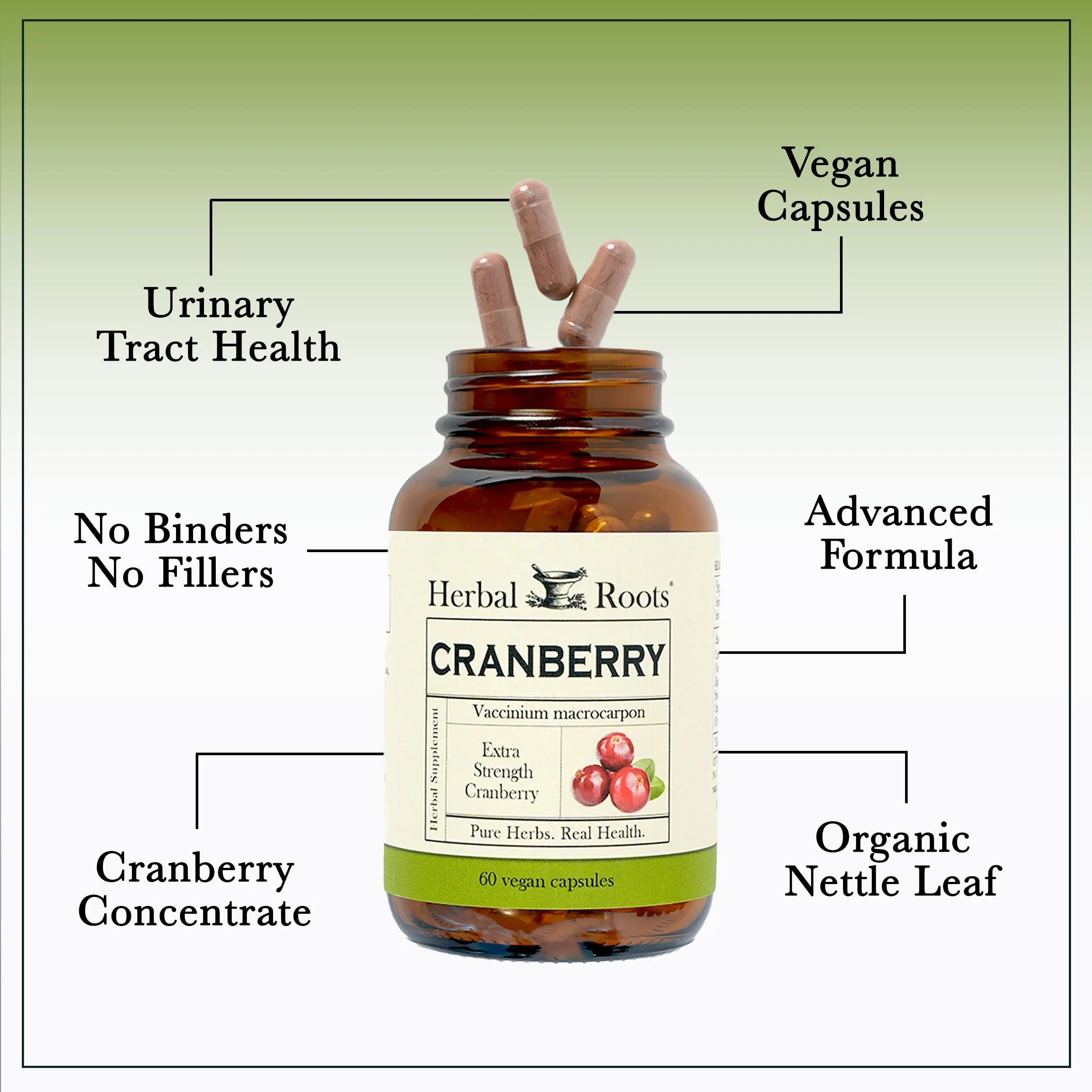 Herbal Roots Extra Strength Cranberry Pills for Women & Men with Organic Nettle | Urinary Tract Health | 60 Vegan Capsules Herbal Roots Au supplements