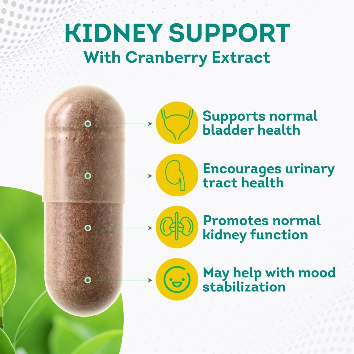 PurePremium Kidney Support Supplement for Men and Women - with Cranberry Extract PurePremium Supplements Au supplements