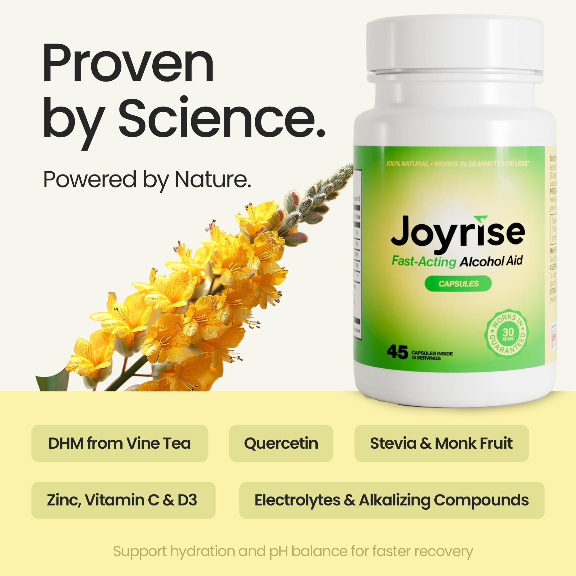 Joyrise® After Drinking Aid – Fast Acting Capsules with DHM – Alcohol Metabolism Support, Liver Health, Rapid Bioavailability & Body Replenishment – 45 Capsules (15 Servings) Joyrise Au supplements