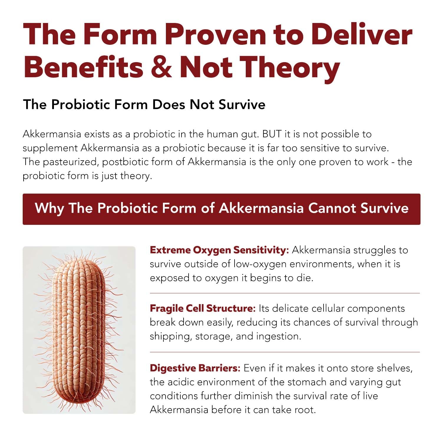 AK-Postbio: Akkermansia Probiotic 30 Billion TFU - Max Strength, Clinically Validated Dose & Patented Strain - Superior Pasteurized Form, Highest Absorption, Delivery - GLP-1 Probiotic - 30 Servings Triquetra Health Au supplements