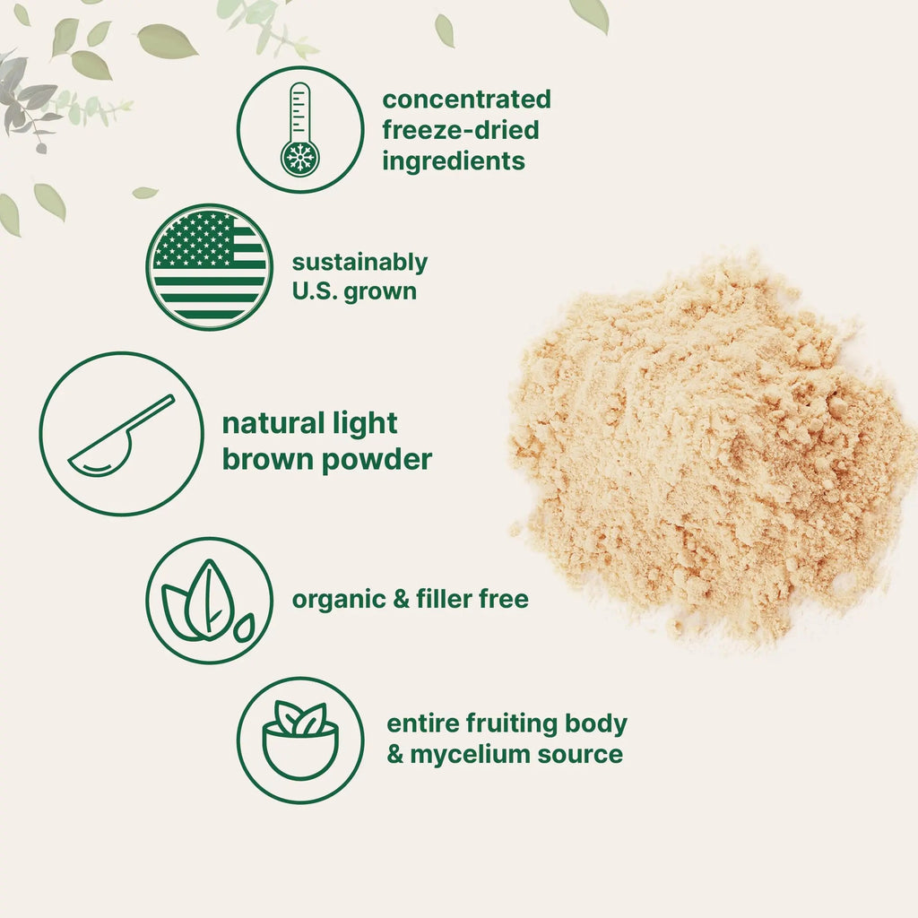 Micro Ingredients Organic Lions Mane Mushroom Supplement Powder 16 Ounce Micro Ingredients Au supplements