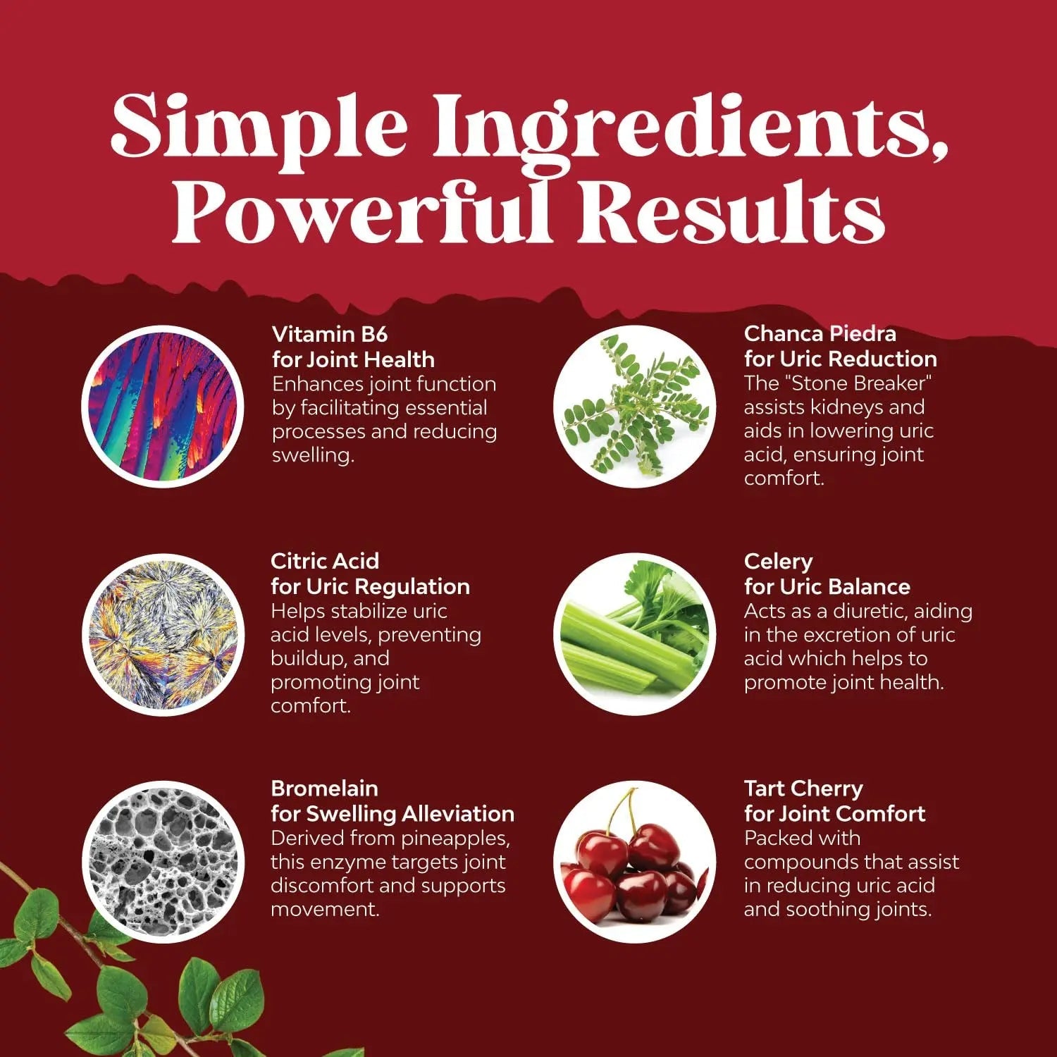 Tart Cherry Capsules for Joint Support and Kidney Cleanse - Daily Uric Acid Detox and Cleanse Natures Craft Au supplements