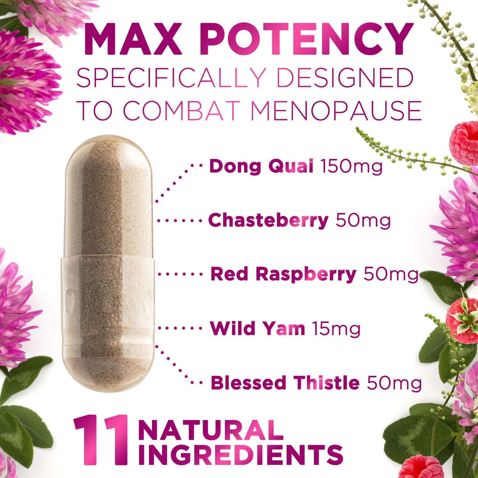 Menopause Supplements for Women - Complete Menopause Relief with Dong Quai & Black Cohosh - For Natural, Mild Hot Flash & Night Sweats - Hormone, Energy & Balance Support, Bottled in USA - 60 Capsules Nature's Nutrition Au supplements