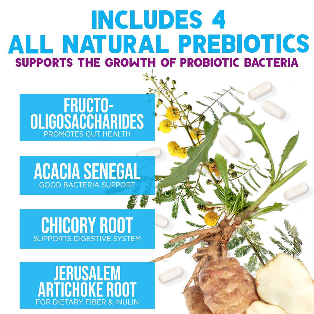 Probiotics 100 Billion CFU Per Serving - 10 Probiotic Strains & Prebiotics - Digestive Gut Health, Immune Support & Occasional Constipation, Gas & Bloating - Daily Supplement For Adults - 60 Capsules Nature's Nutrition Au supplements