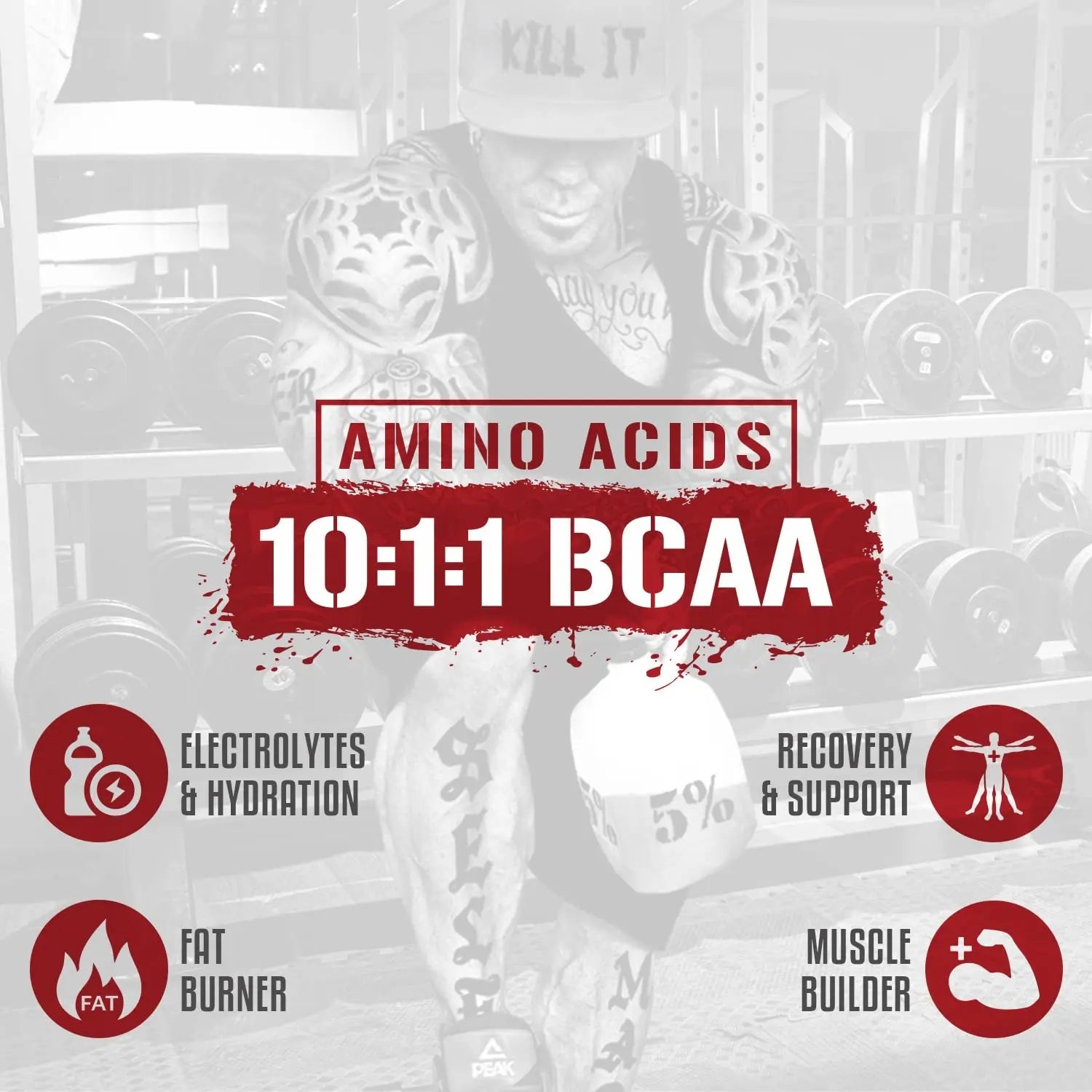 5% Nutrition Rich Piana AllDayYou Shred BCAA Powder | Amino Acid Supplement 5% Nutrition Au supplements