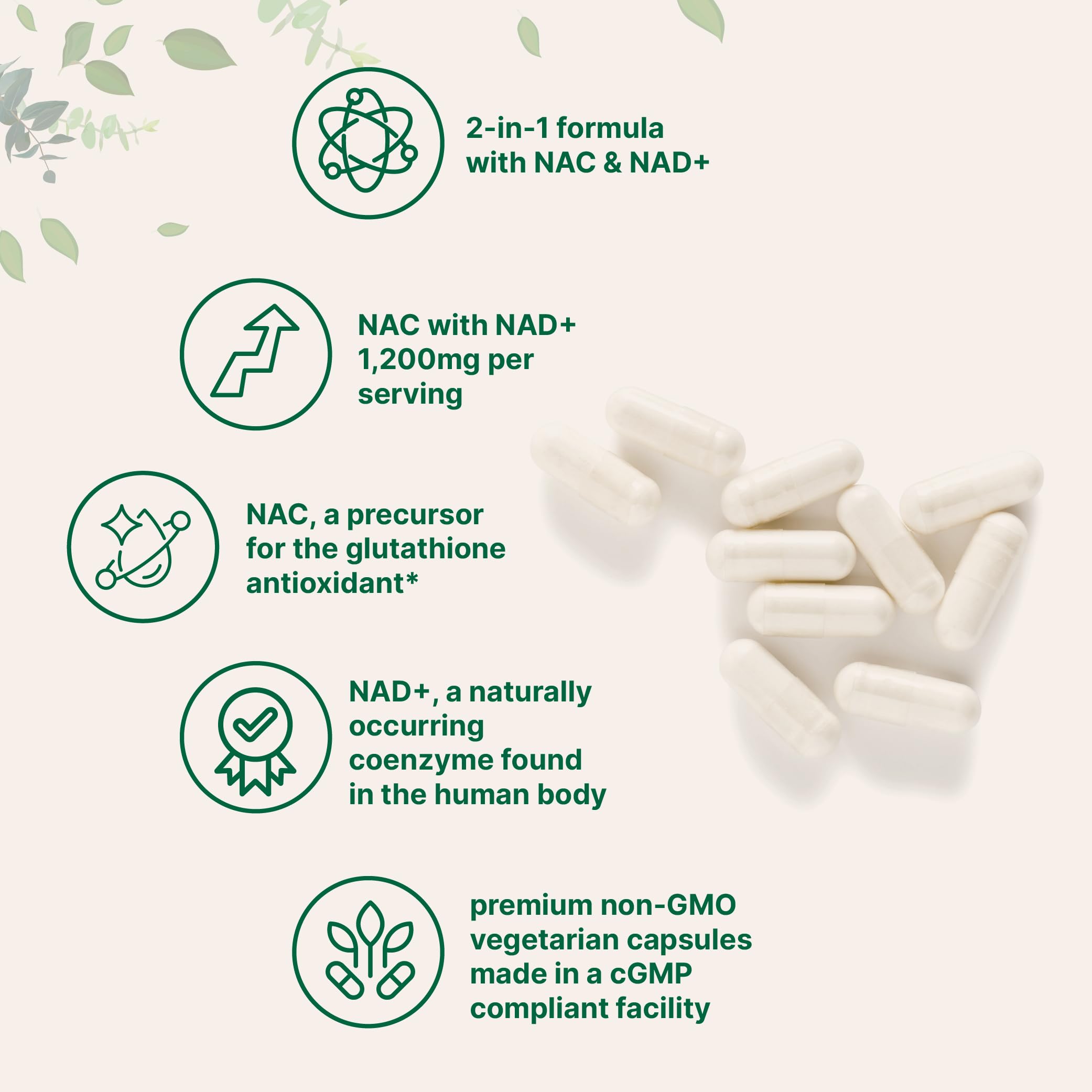 Micro Ingredients NAC with NAD+, 240 Vegetarian Capsules | 1,200 mg Per Serving | 2-in-1 N-Acetyl-L-Cysteine with Nicotinamide Adenine Dinucleotide