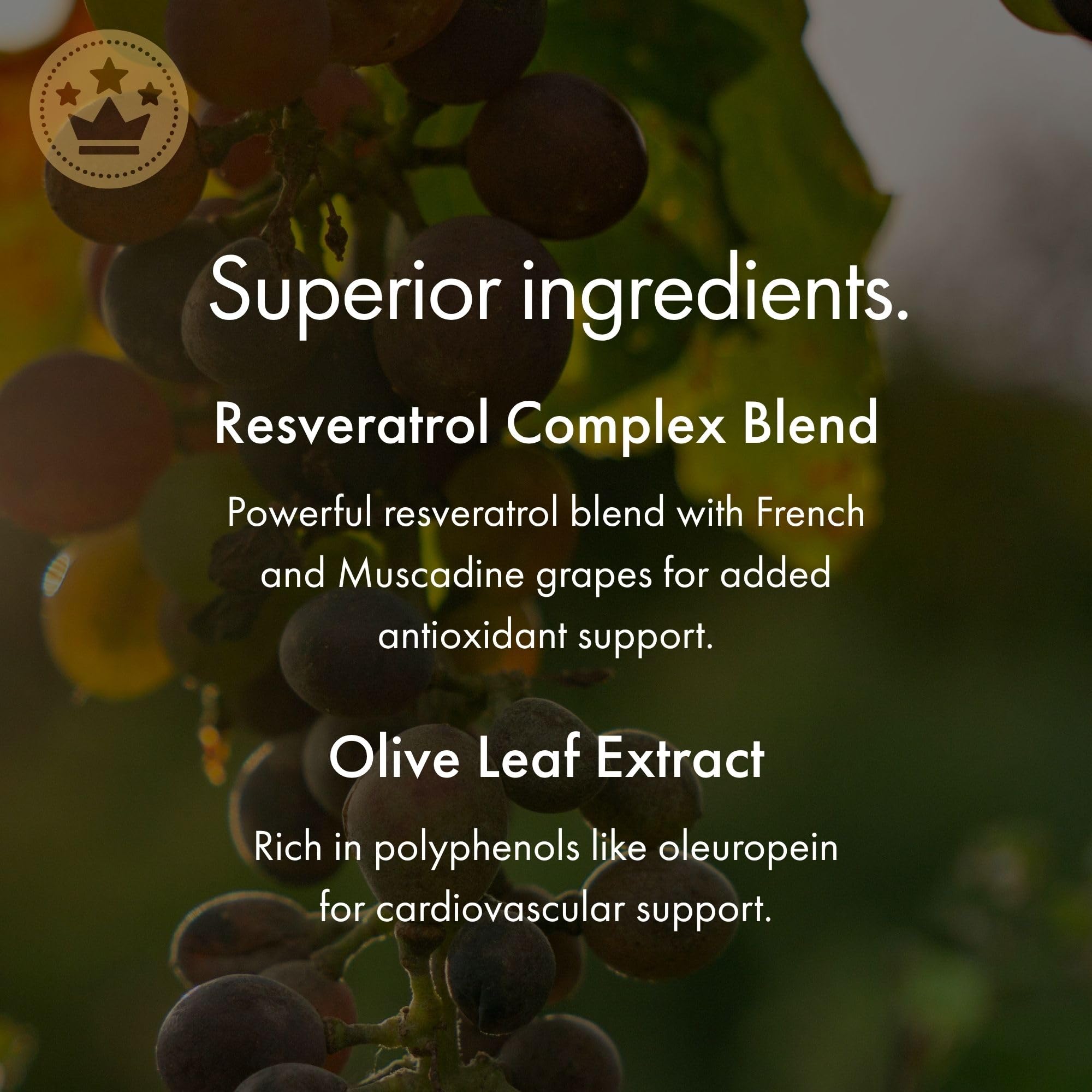 NAOMI Italian Citrus Bergamot 500mg + Resveratrol, Award-Winning Cardiologist Dvlpd, Supports Normal Cholesterol & Healthy Cellular Function, 7 Key Polyphenols