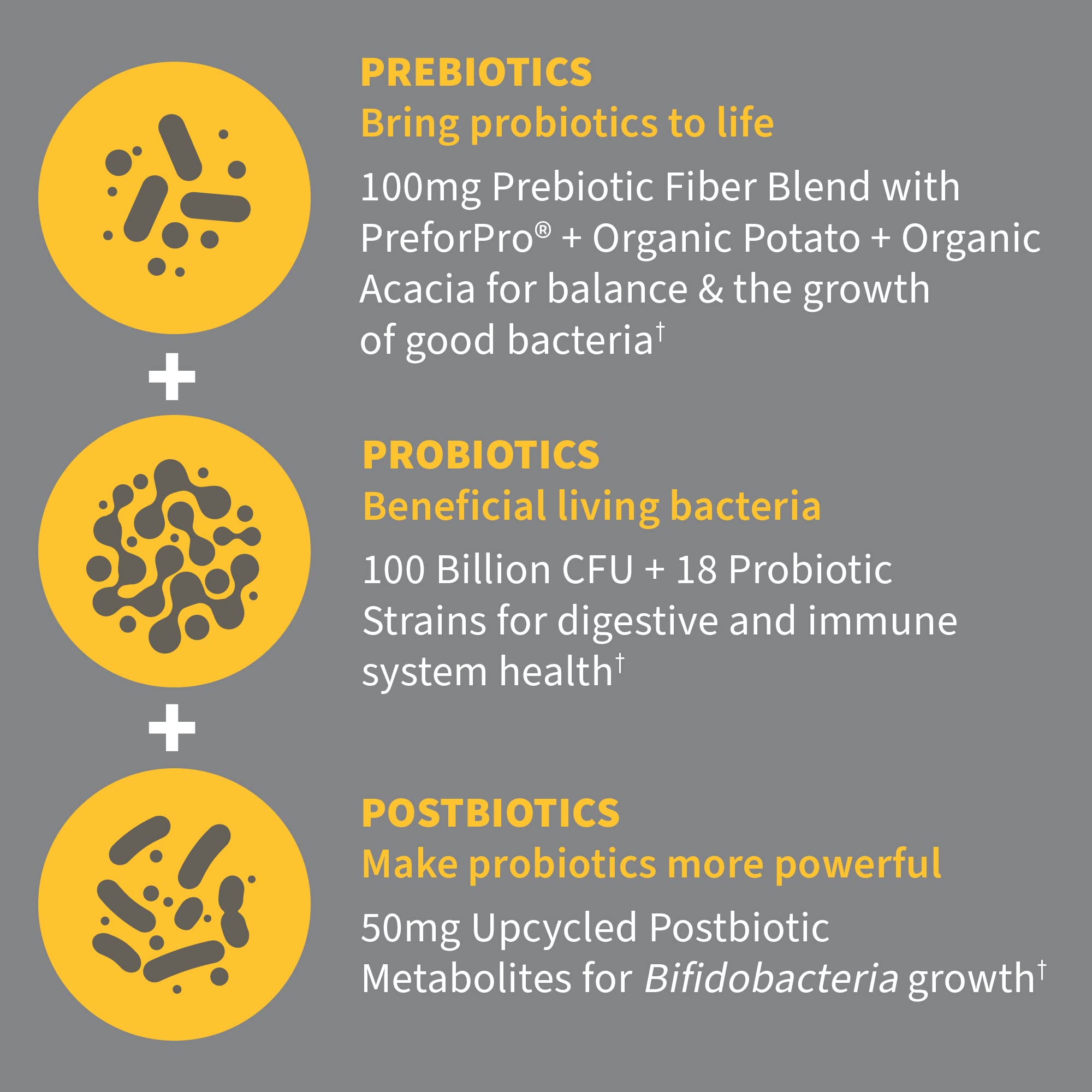 Garden of Life Dr. Formulated Pre, Post & Probiotics 100 Billion CFU Once Daily 3-in-1 Complete Probiotics, Prebiotics & Postbiotics Supplement for Women and Men – Extra Strength, 30 Day Supply Garden of Life Au supplements