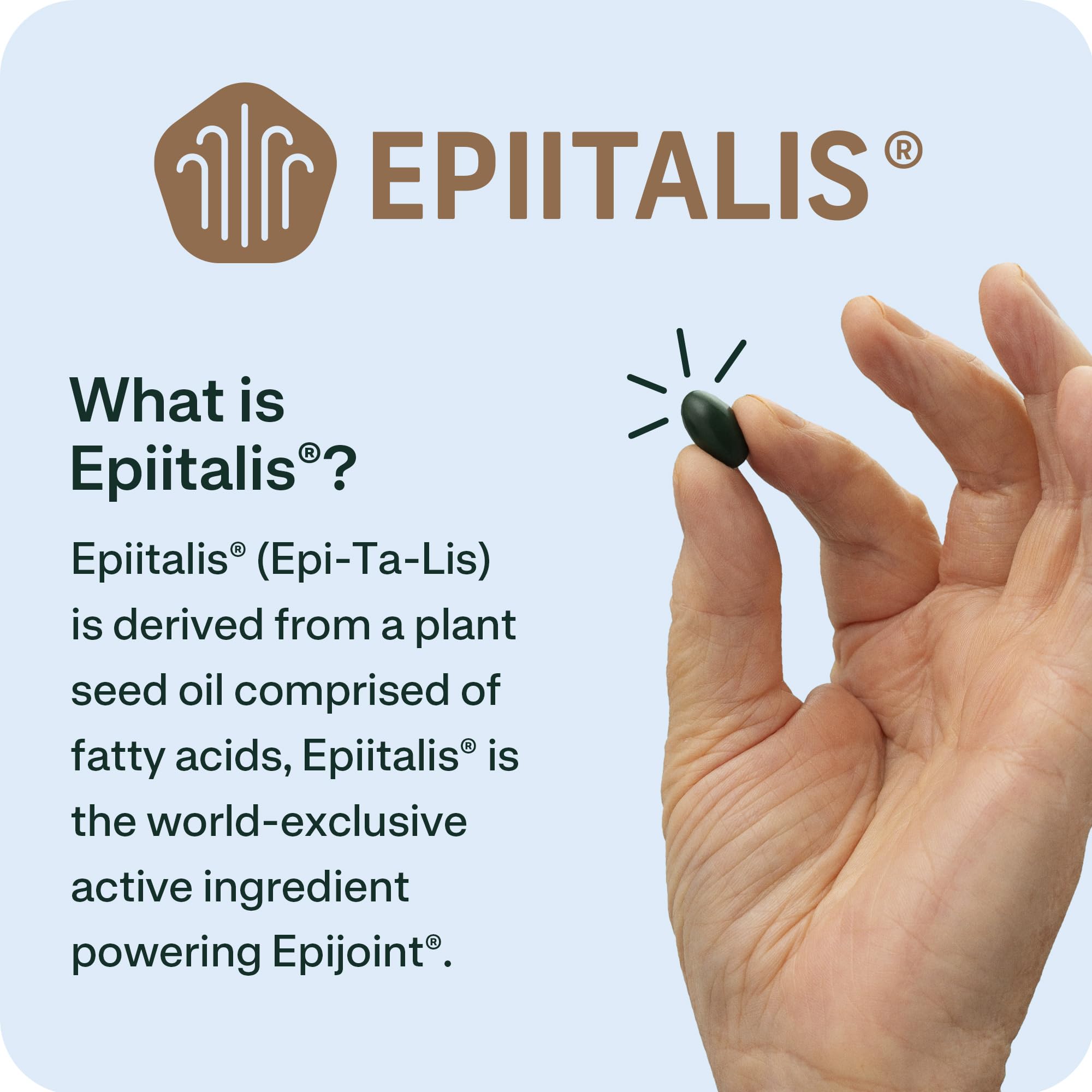 EPIJOINT Joint Support – Supports Mobility & Osteoarthritis – May Help Reduce Inflammation with Patented Epiitalis – 60 Capsules EPIJOINT Au supplements