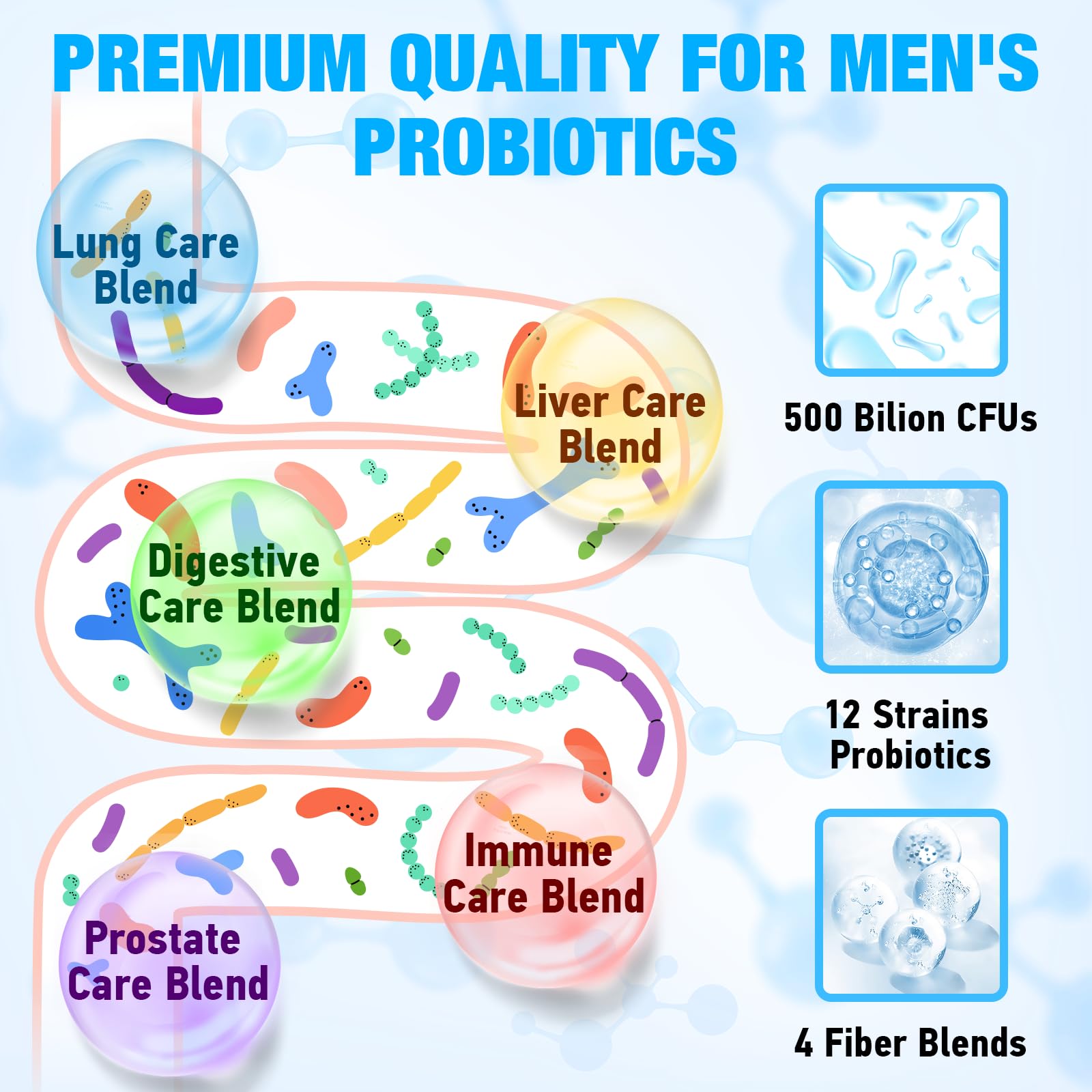 Probiotics for Men, 500 Billion CFUs 12 Strains, Mens Probiotics for Gut Health*, Digestive Health*, Energy, Prostate & Urinary Tract*, with Cranberry, Goji, Turmeric & Amla, Shelf Stable, 60 Caps Edoempe Au supplements