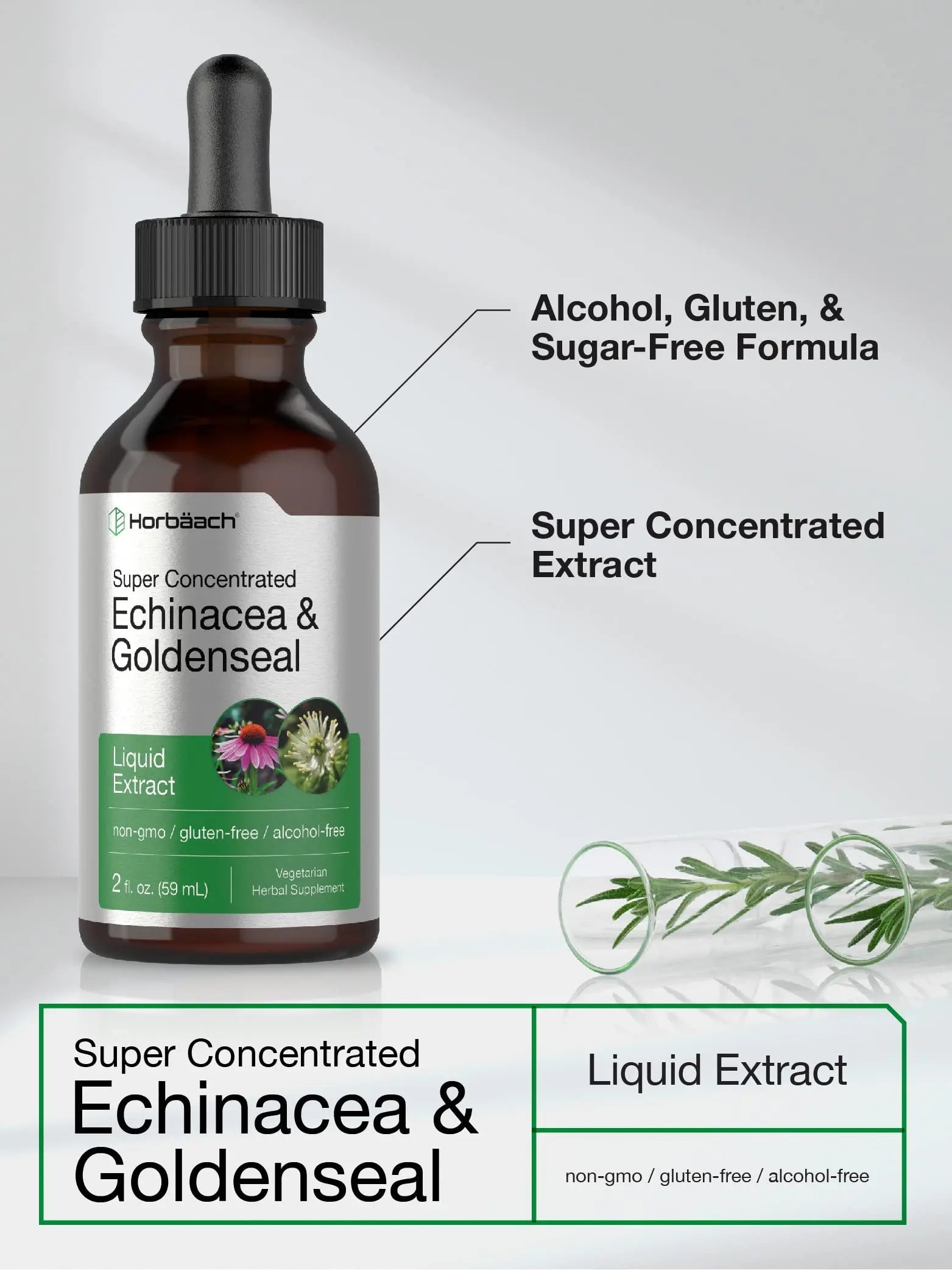 Echinacea Goldenseal Liquid Extract | 2 fl oz | Alcohol Free Tincture Drops | Vegetarian Horbäach Au supplements