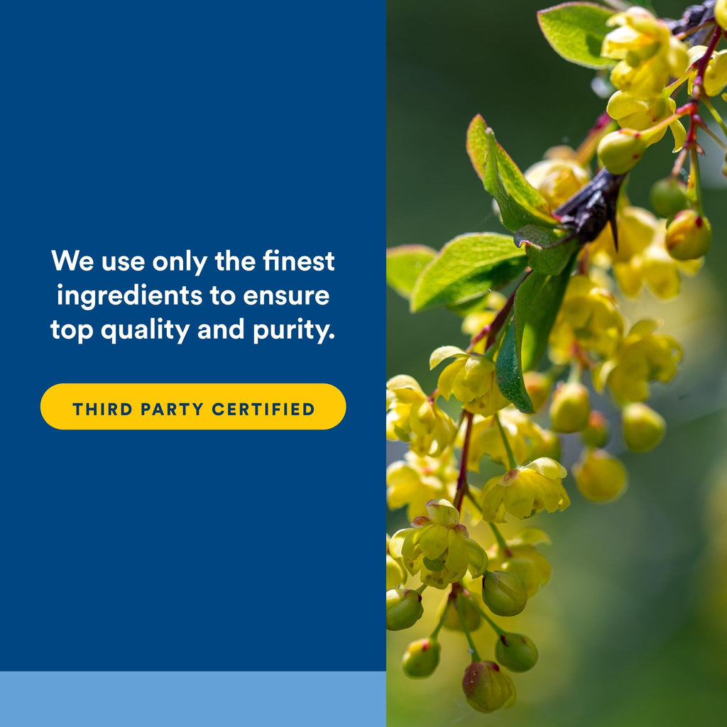 Natural Factors WellBetX Berberine - Daily Supplement Supports Metabolic Health - Formula Supports Healthy Heart - Gluten-Free & Vegan