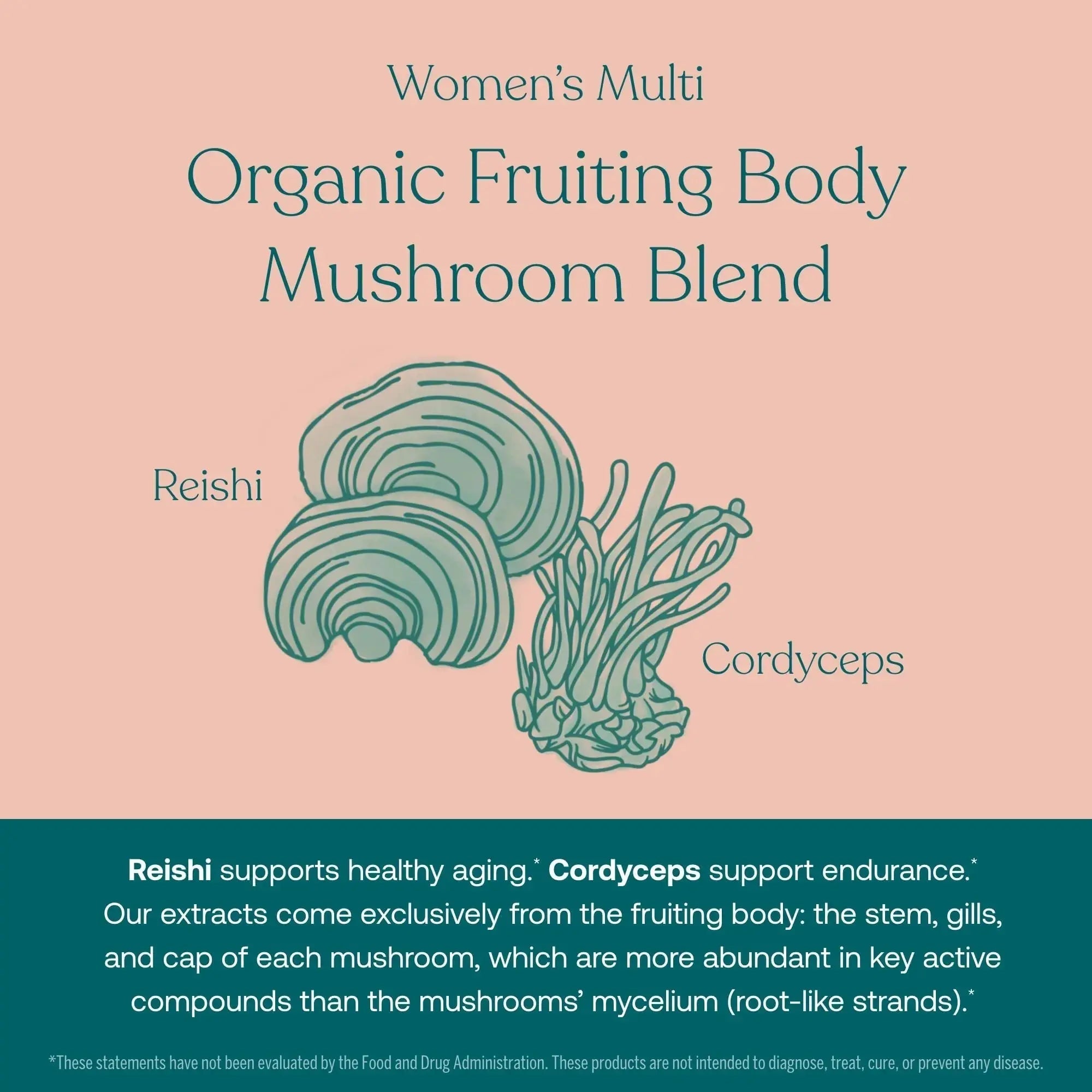 True Grace One Daily Men’s Multivitamin (30 Vegan Tablets) + One Daily Women’s Multivitamin (30 Vegan Tablets) - Non-GMO & Gluten Free - 30-Day Supply of Each True Grace Au supplements