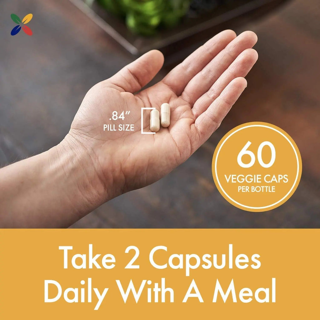 Stop Aging Now - BladderControl360 Formula - Bladder Control Support - Go-Less & Probiotics - Urinary Health Probiotic Supplement - Lactobacillus Rhamnosus, Pumpkin Seed & Soy Germ Extracts - 60 Vcaps Stop Aging Now Au supplements