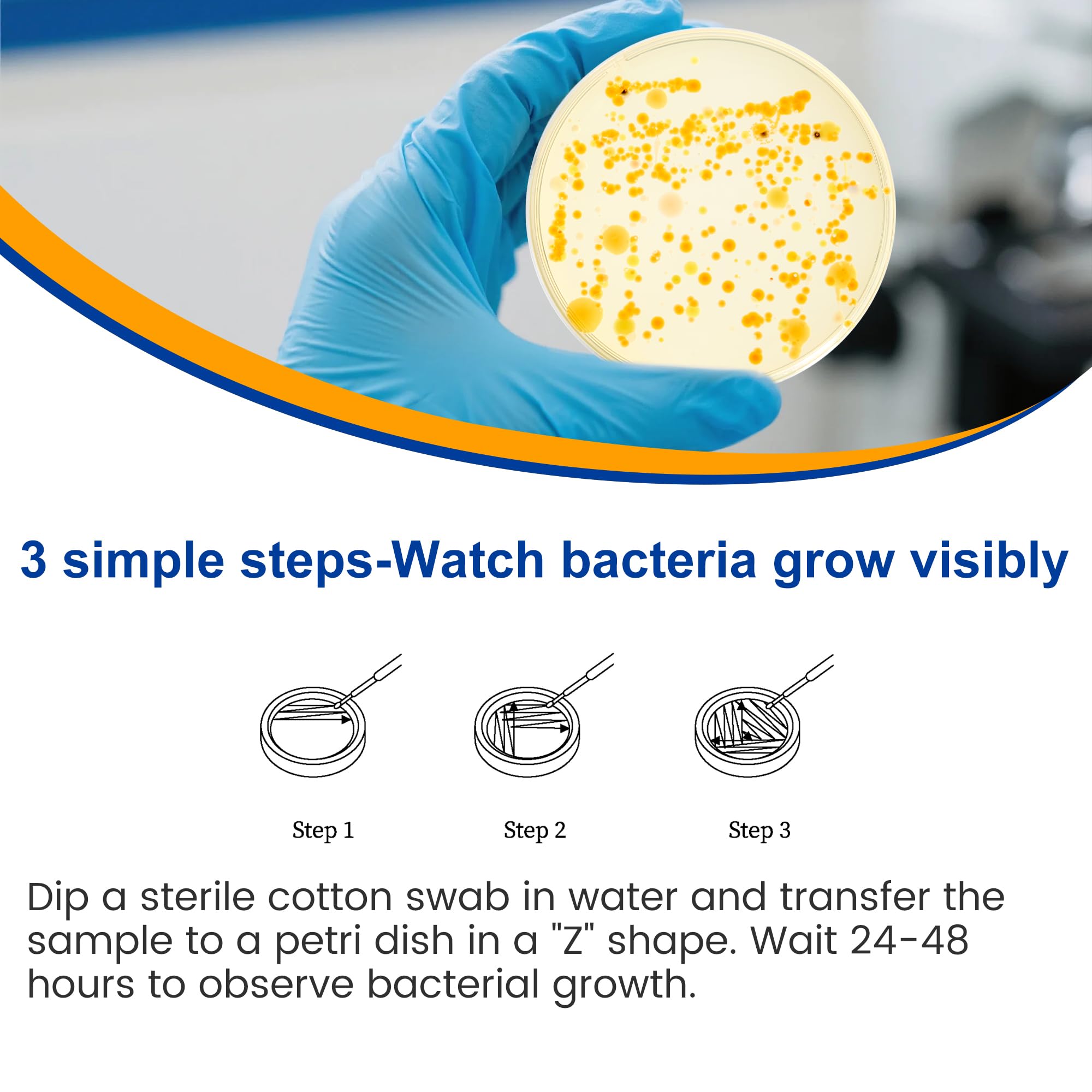 Bacteria Test Kits for Drinking Water - 12 Tests Detect Coliform, E.coli & All Bacteria | Home Quality Testing Kit for Well, Tap, Pool, Hot Tub & City Water | Easy DIY Tester with Free Lab Analysis Funhaostar Au supplements