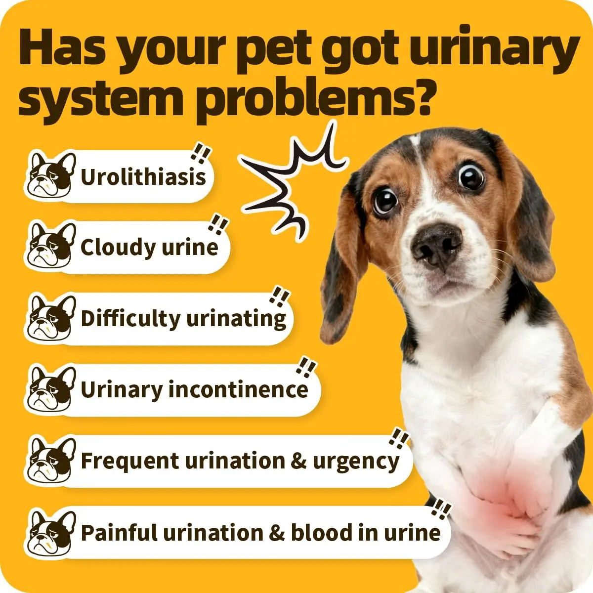 Cassiel Pet Bladder Supports Chews for Urinary Tract Health, Infection Treatments, Bladder Health, Dog UTI, Bladder Stones, Incontinence Support, Urinary Pain Relief for Cat & Dog 10 Chews (1 Bottle) Cassiel pet Au supplements