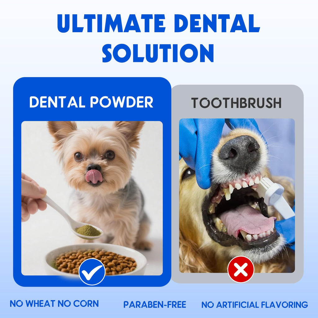Dog Teeth Cleaning Powder - Dental Powder for Dogs Teeth - Plaque Removal - Supports Gum Health - Tartar Remover with Natural Herb Blend and Postbiotics 30 Day Supply - Mint Flavor ARMOYA Au supplements