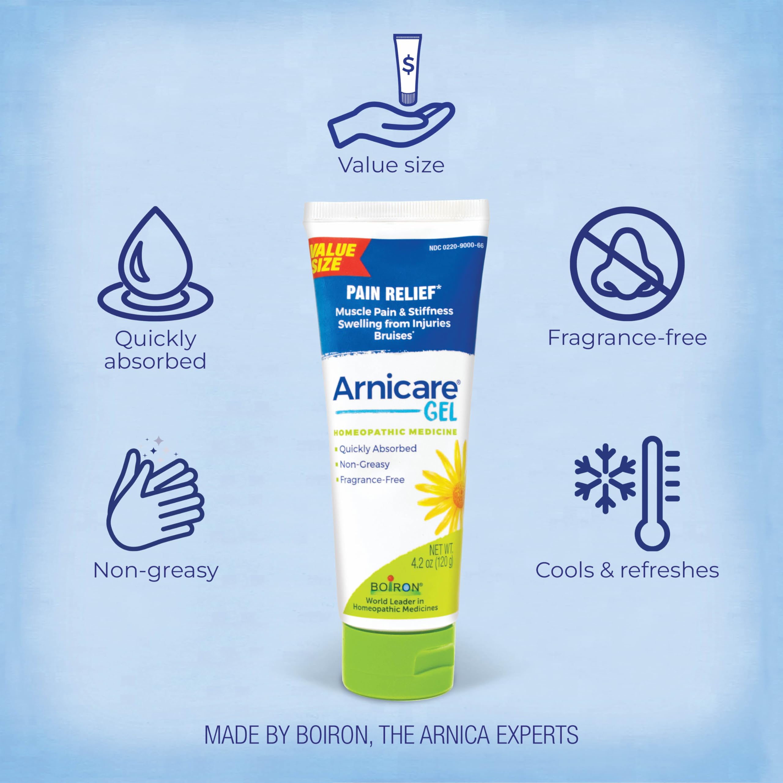 Boiron Arnicare Gel 4.2 oz (Twin Pack) for Joint Pain Relief, Muscle Pain, Muscle Soreness, and Swelling from Bruises or Injury - Non-Greasy and Fragrance-Free Arnica Boiron Au supplements