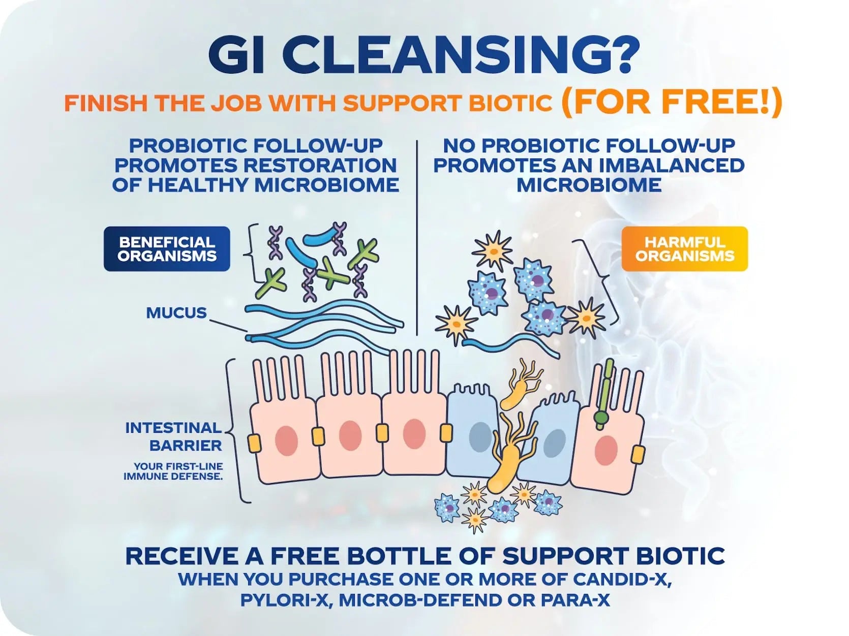 BioMatrix Candid-X Gut Cleanse with Berberine, Oregano, Sodium Caprylate, Chamomile, Ginger BioMatrix Au supplements