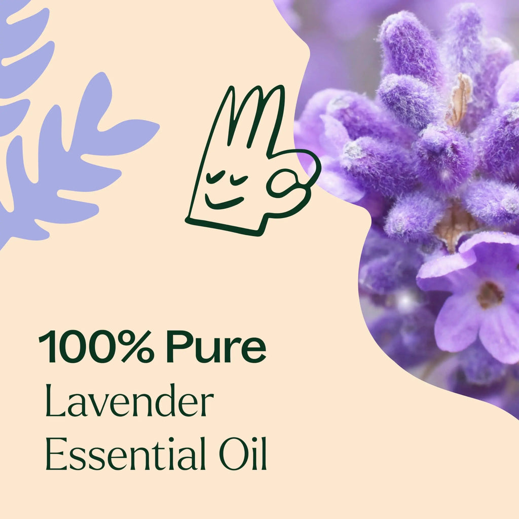Plant Therapy Lavender Essential Oil 100% Pure, Undiluted, Therapeutic Grade, Aromatherapy Diffuser Plant Therapy Au supplements