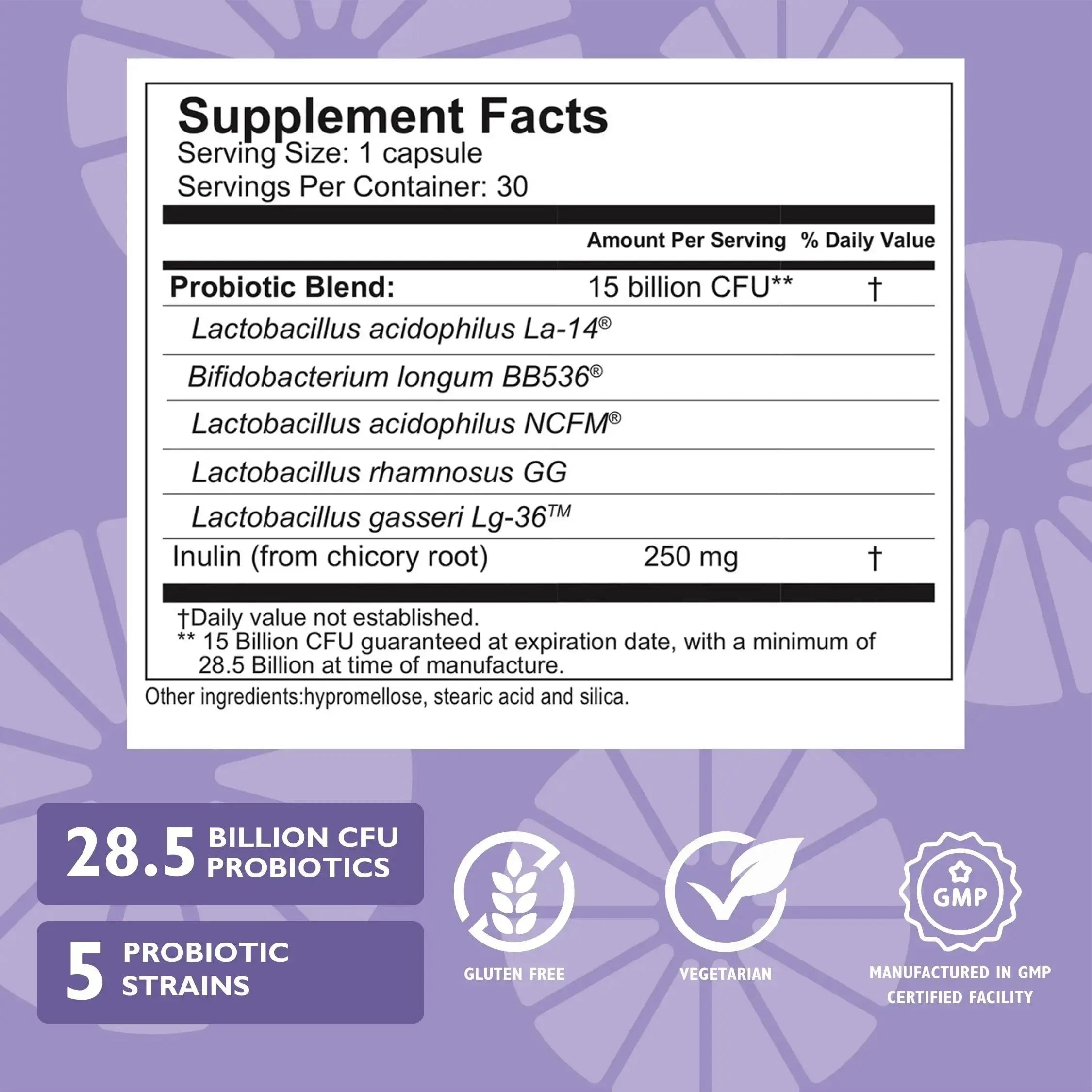 Celebrate Bariatric Essentials Bundle – CelebrateONE Multivitamin, Iron with Vitamin C Chewables, & Balance Probiotic + Prebiotic – Complete Nutritional & Digestive Support for WLS Patients Celebrate Bariatric Supplements Au supplements