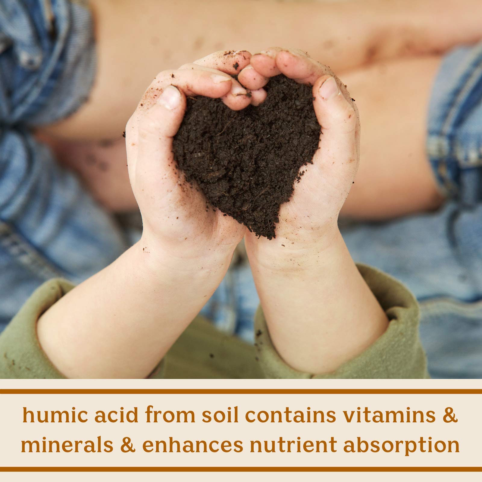Feel Good SBO Probiotics — Soil Based Organisms (SBOs), Prebiotics, Postbiotics, Humic Acid, Shilajit, Chaga & Turkey Tail Mushroom for Digestion — Solluna by Kimberly Snyder (60CT) Vegan & Non-GMO Solluna by Kimberly Snyder Au supplements